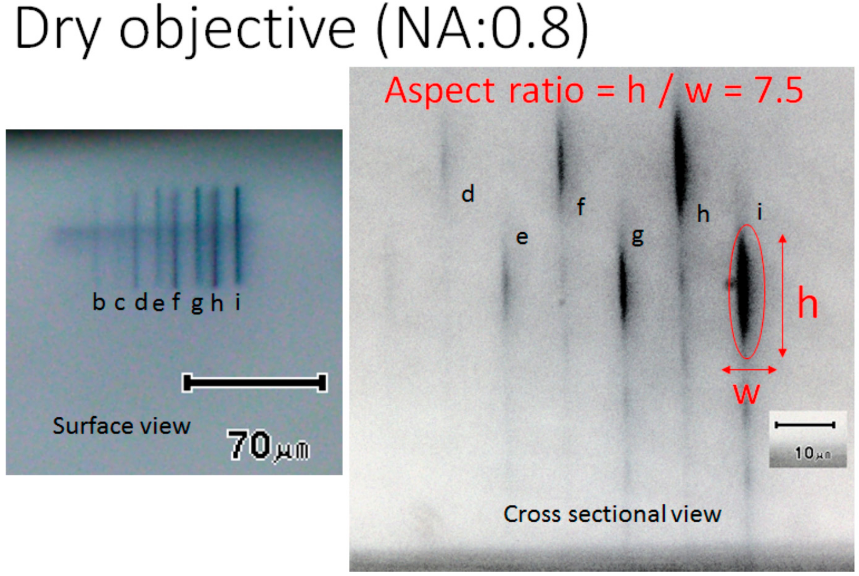 Micromachines 11 01120 g002