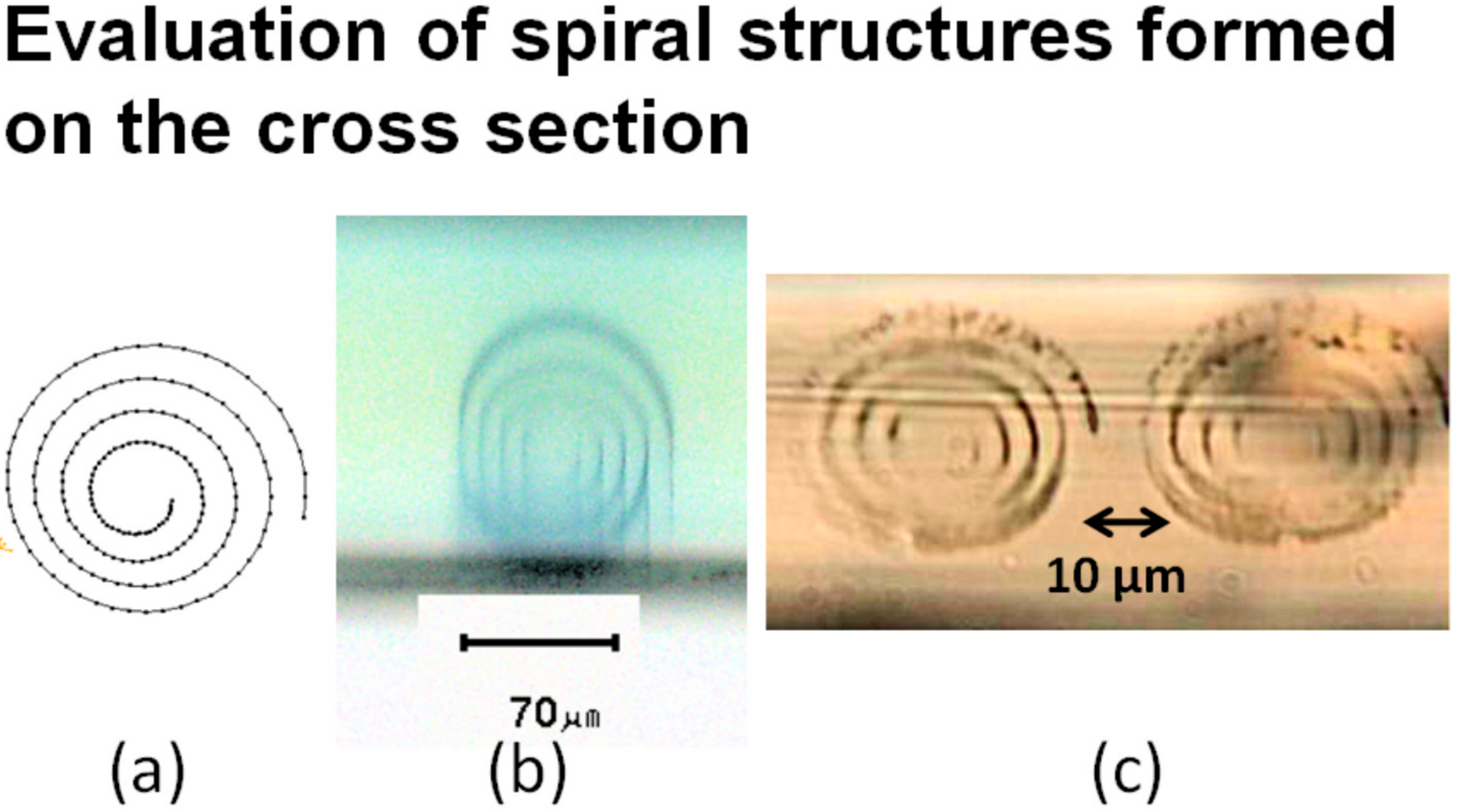 Micromachines 11 01120 g005