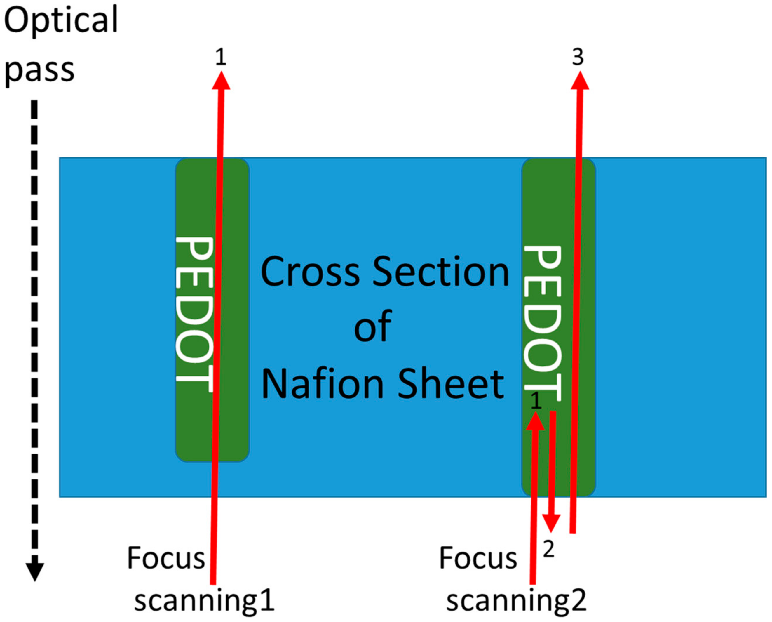 Micromachines 11 01120 g006