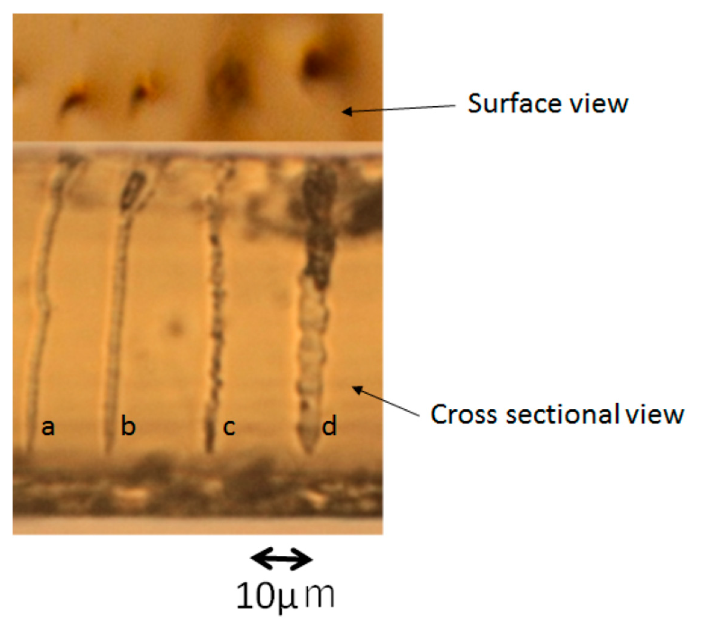 Micromachines 11 01120 g007