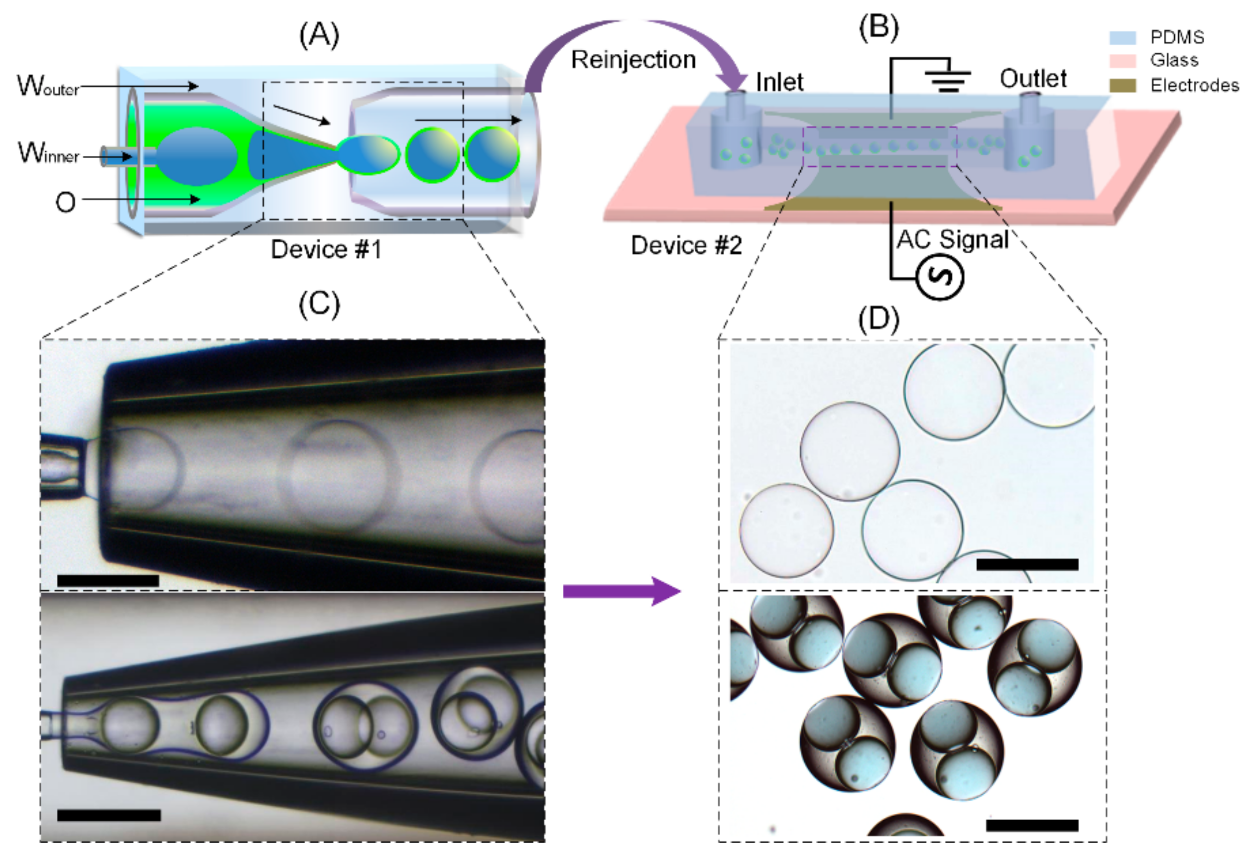 Micromachines 11 01121 g001 Micromachines 11 01121 g001