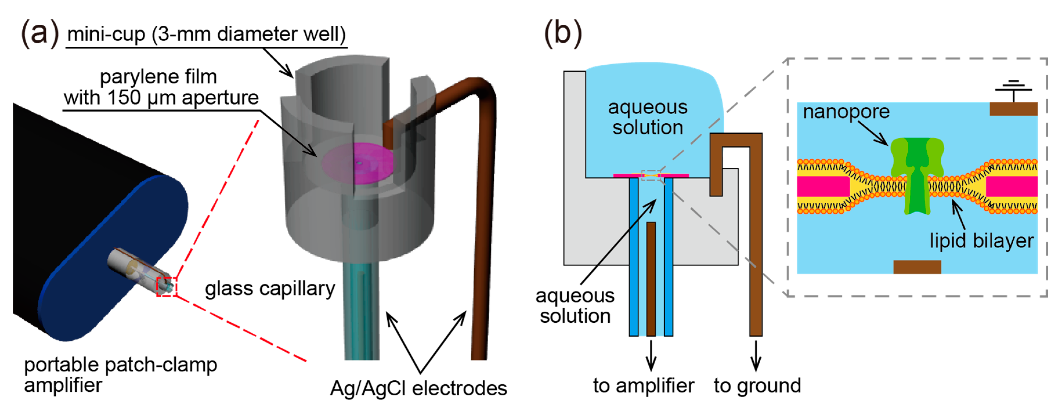 Micromachines 11 01123 g001