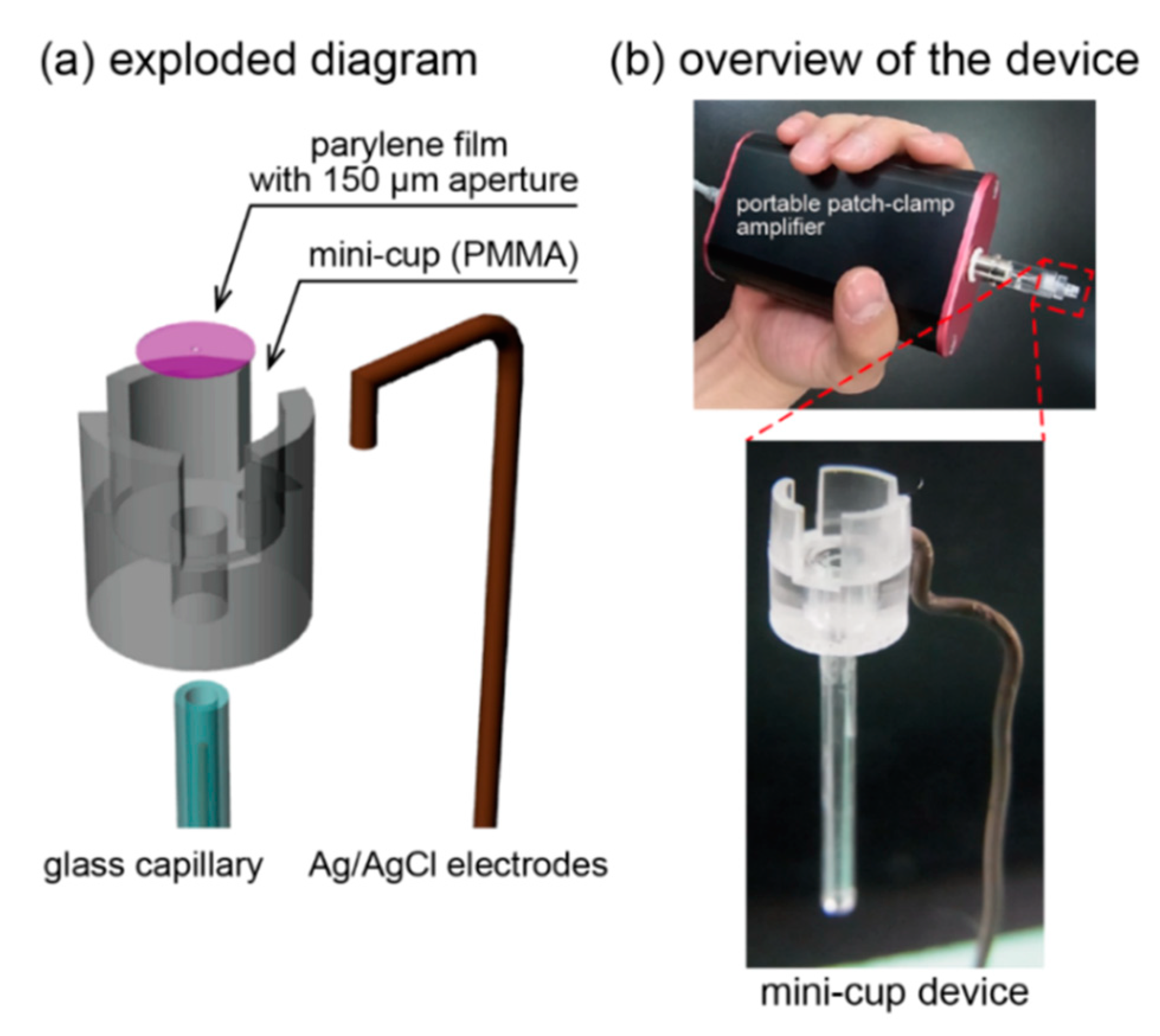 Micromachines 11 01123 g004