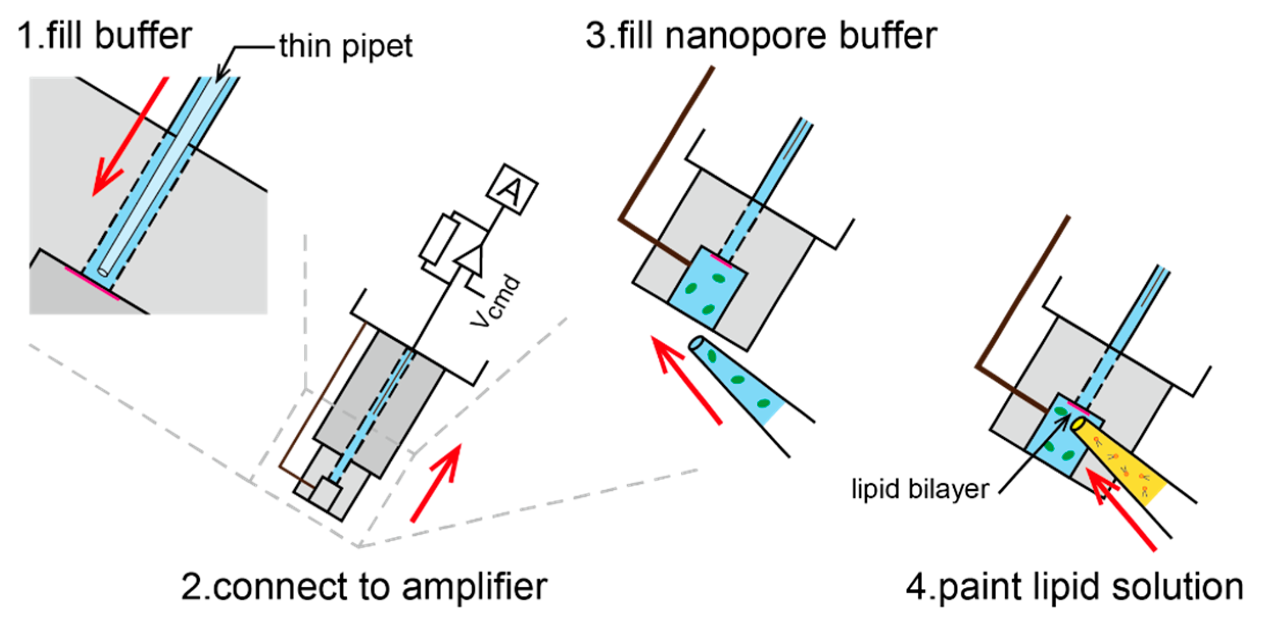 Micromachines 11 01123 g005