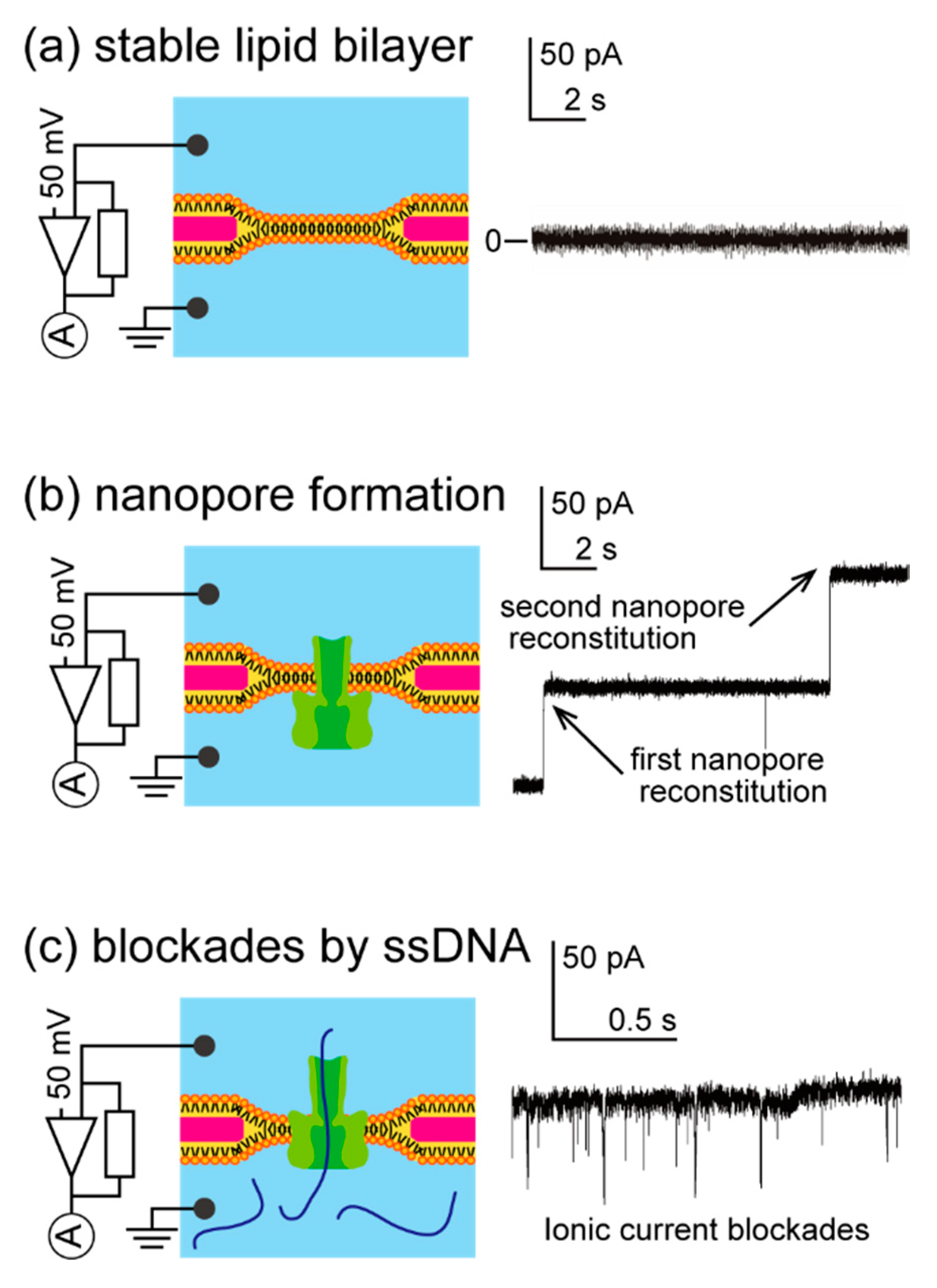 Micromachines 11 01123 g008