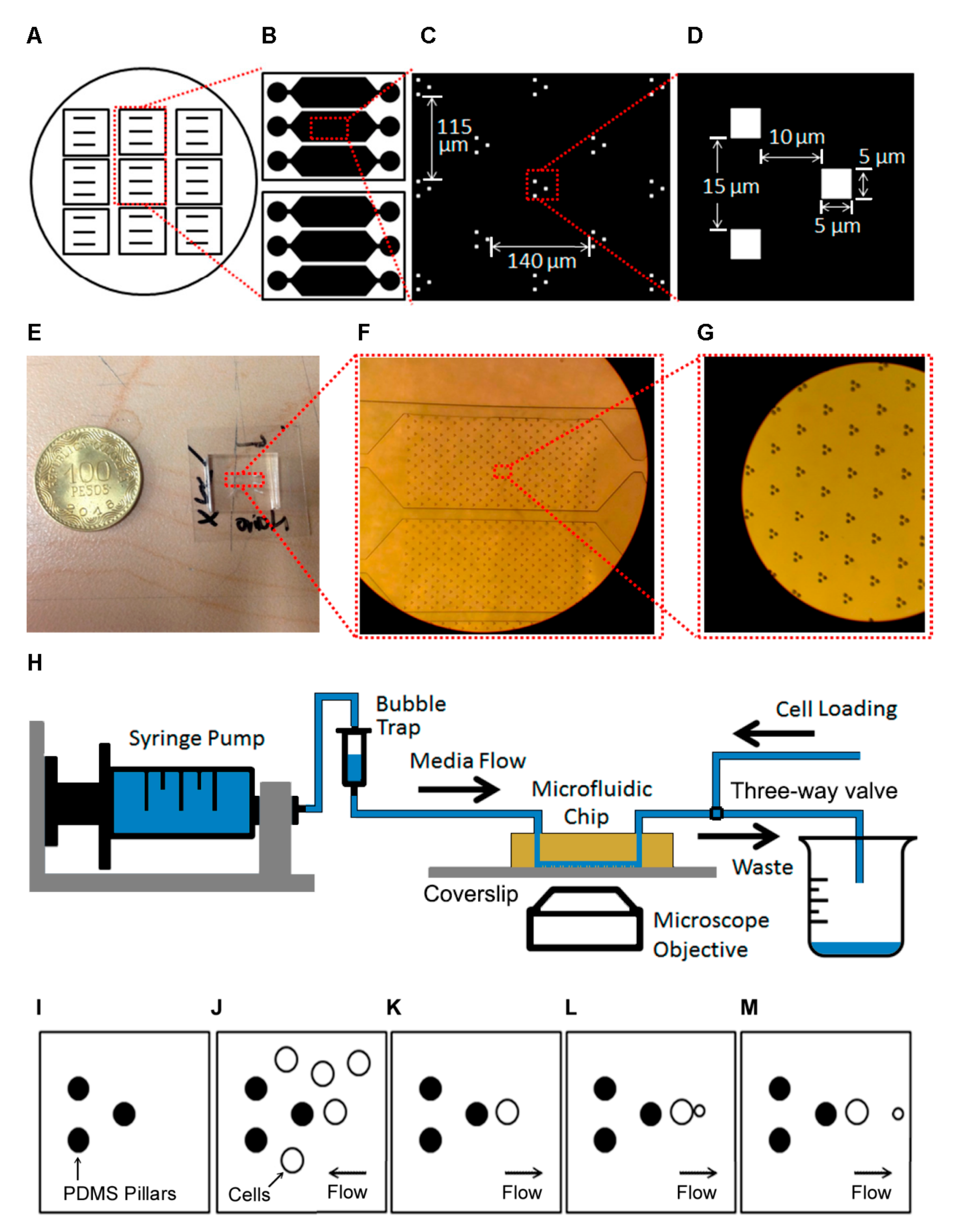 Micromachines 12 00004 g001