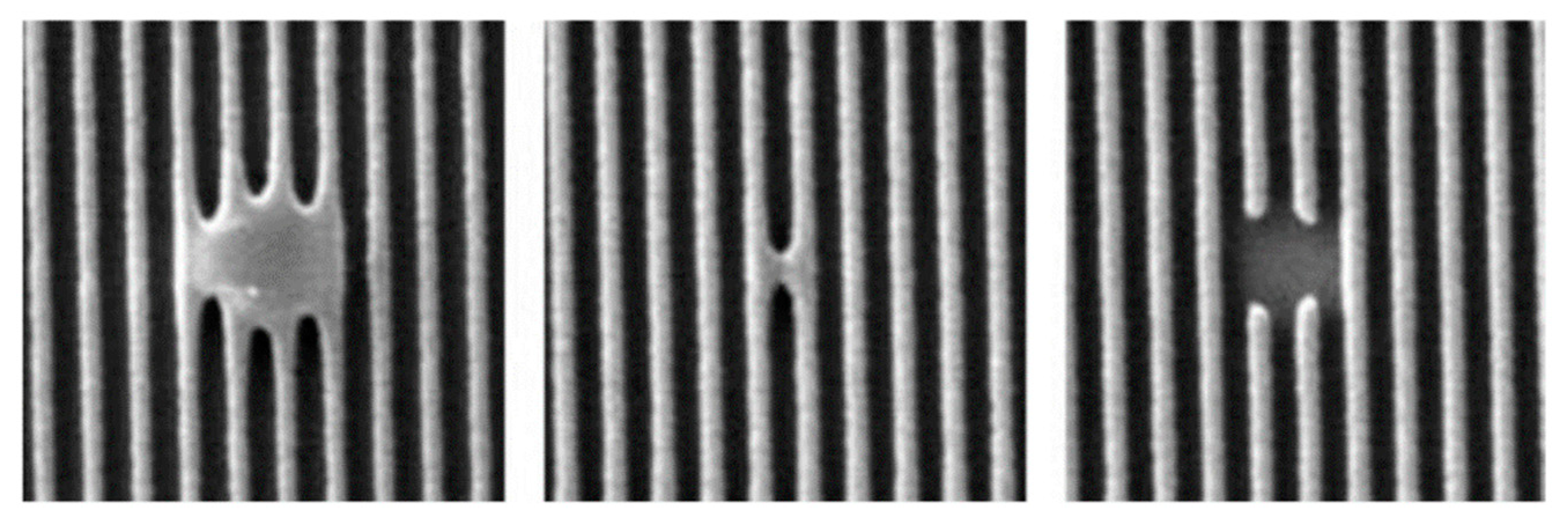 Micromachines 12 00010 g002