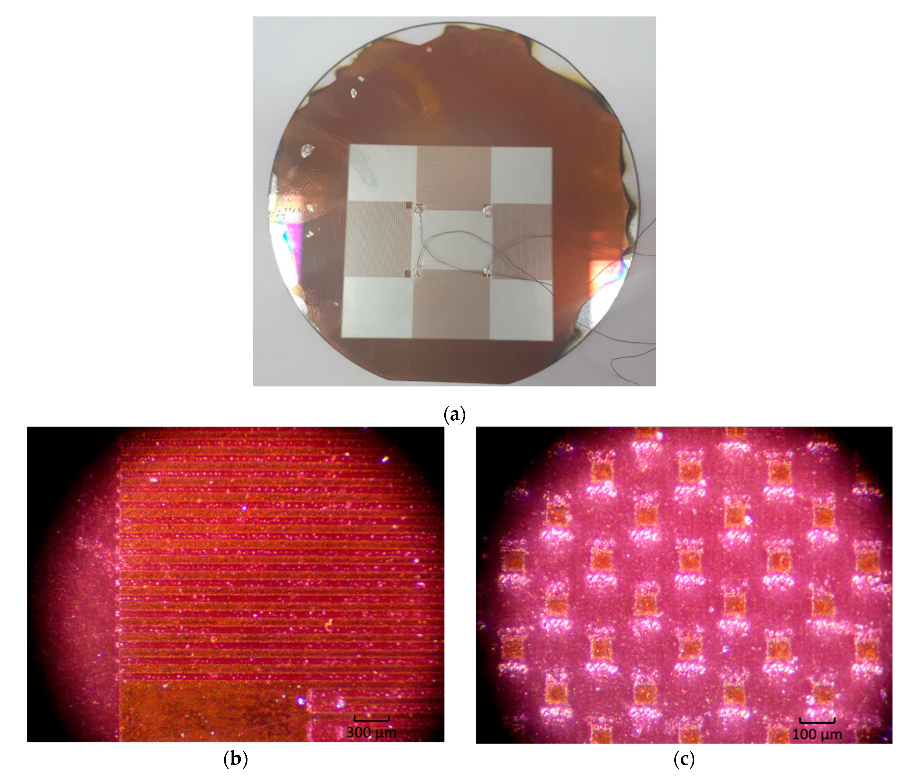 Micromachines 12 00010 g005