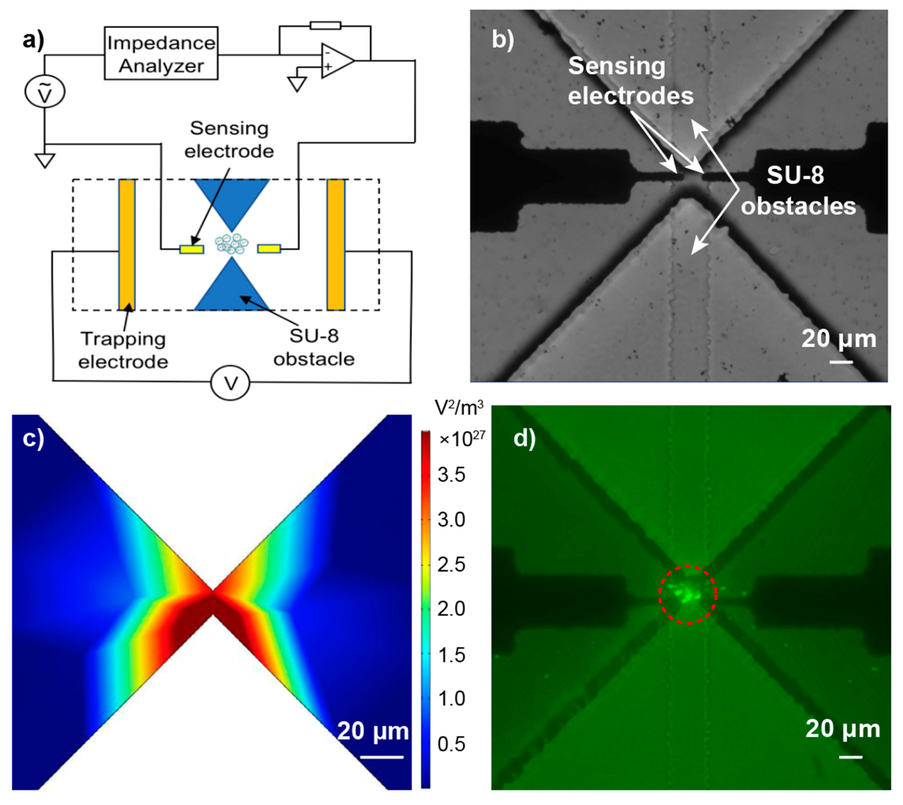 Micromachines 12 00011 g004 Micromachines 12 00011 g004