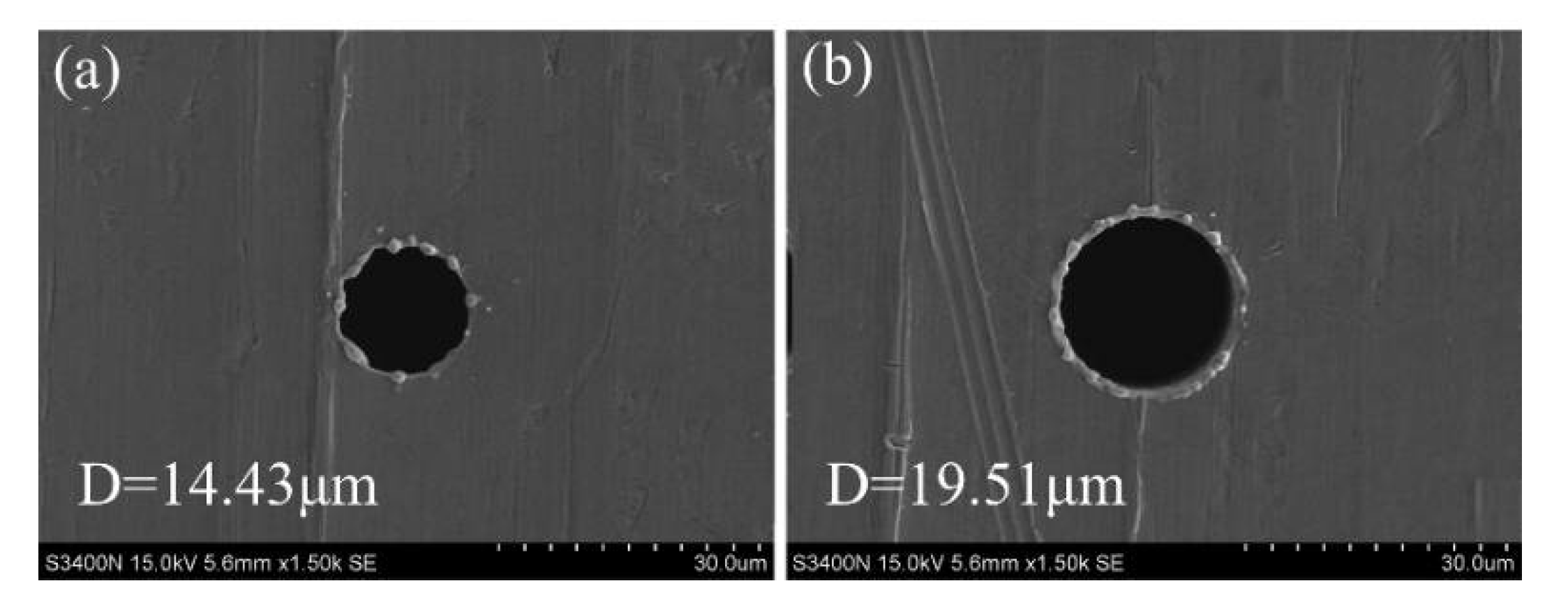 Micromachines 12 00017 g014
