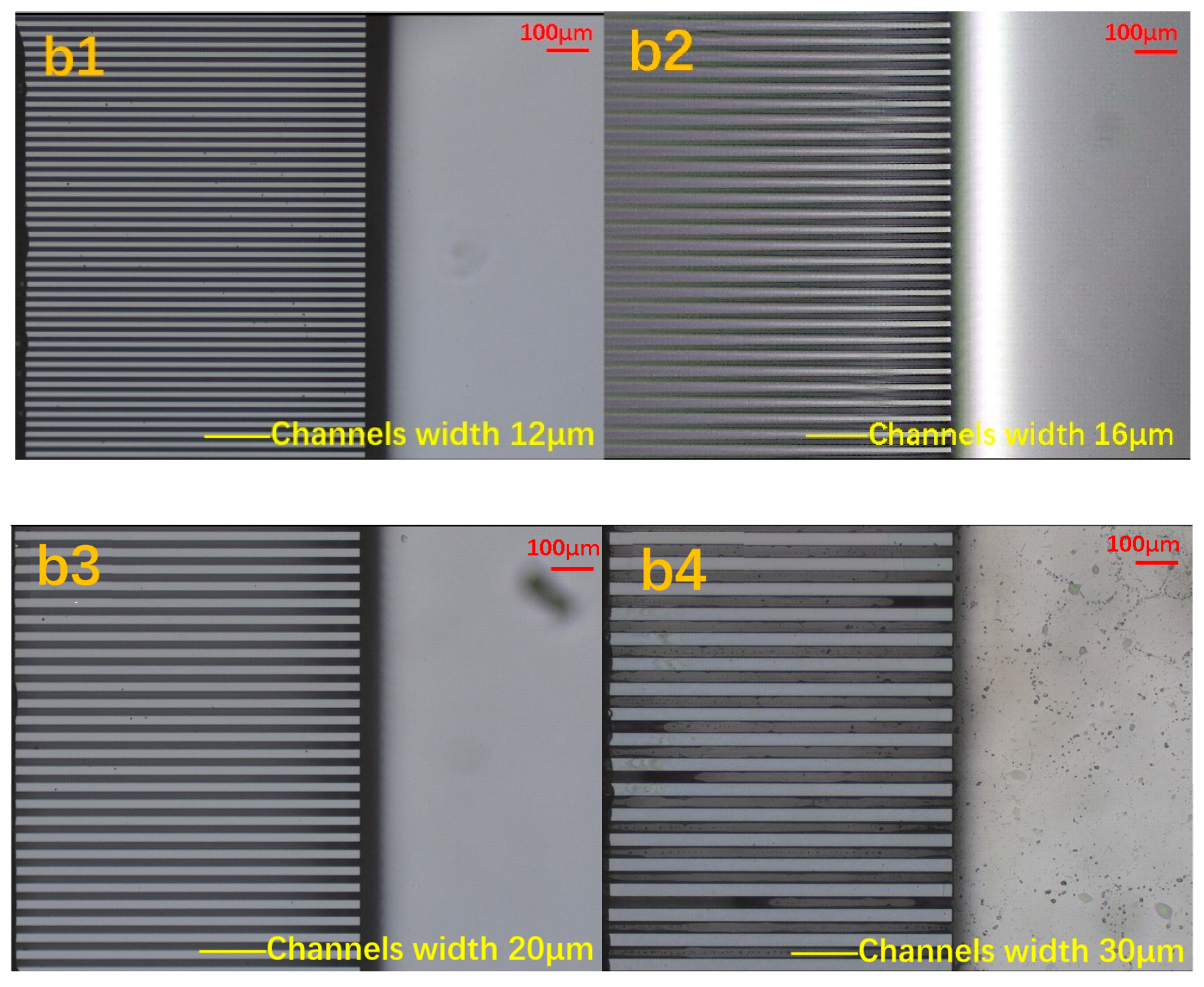 Micromachines 12 00018 g009b