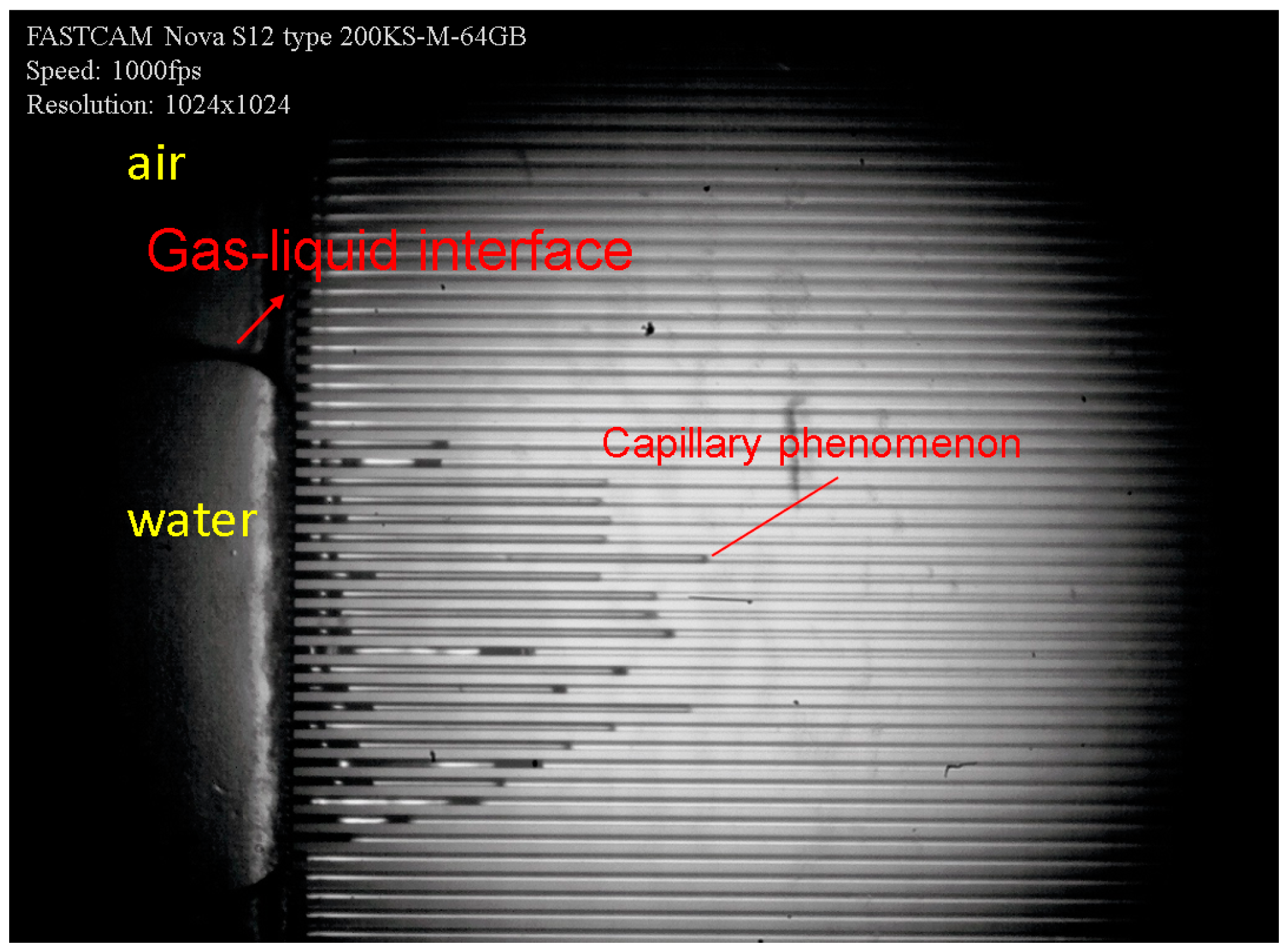 Micromachines 12 00018 g011