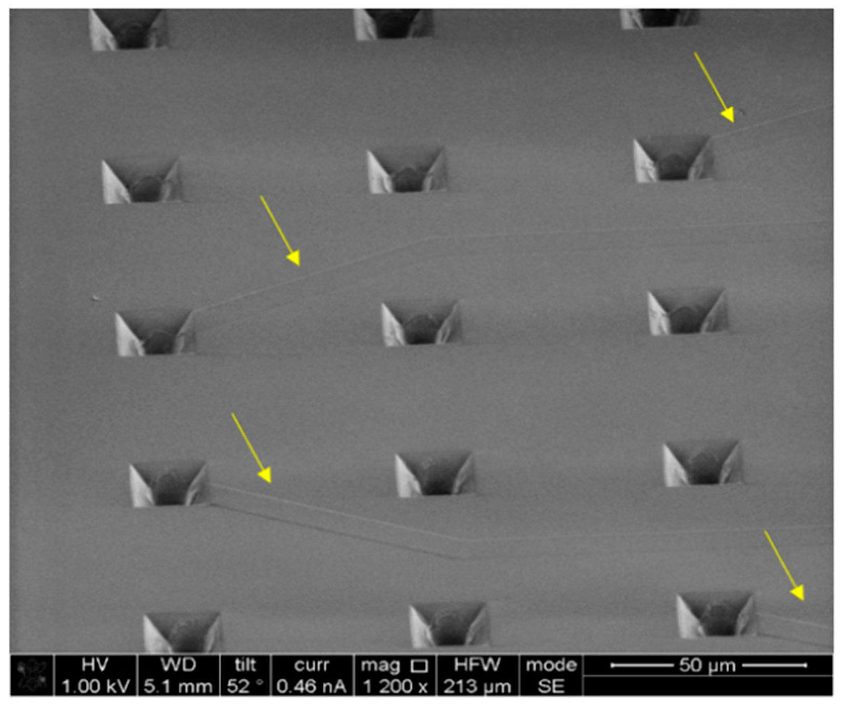 Micromachines 12 00021 g004 Micromachines 12 00021 g004