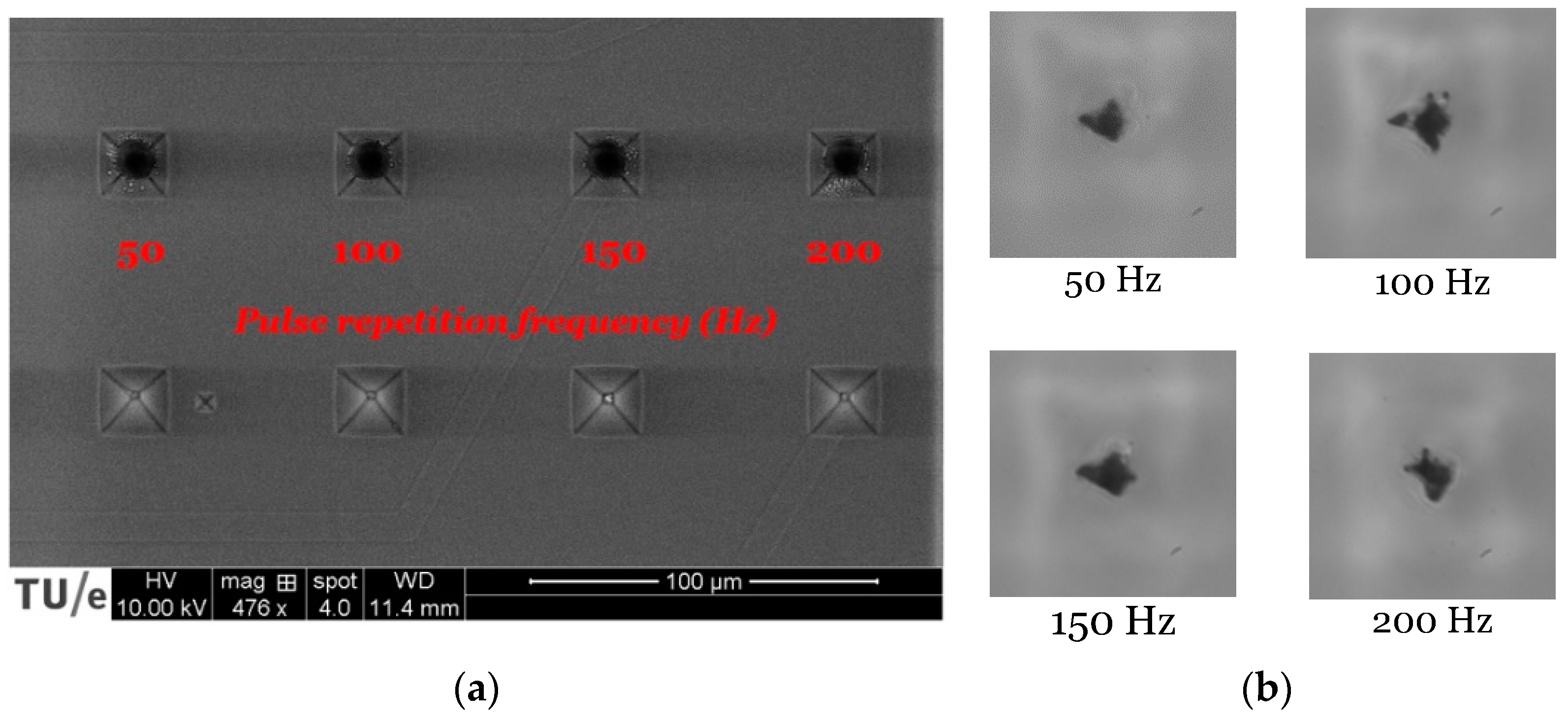 Micromachines 12 00021 g005 Micromachines 12 00021 g005