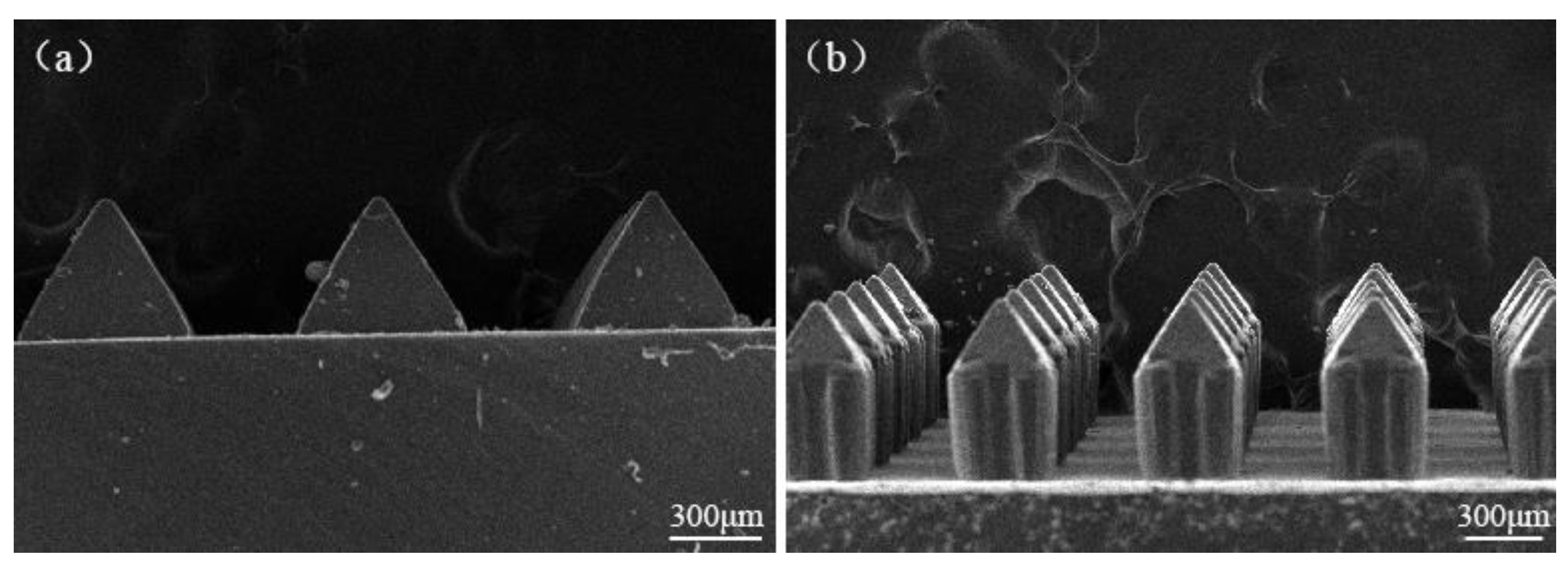 Micromachines 12 00023 g010 Micromachines 12 00023 g010