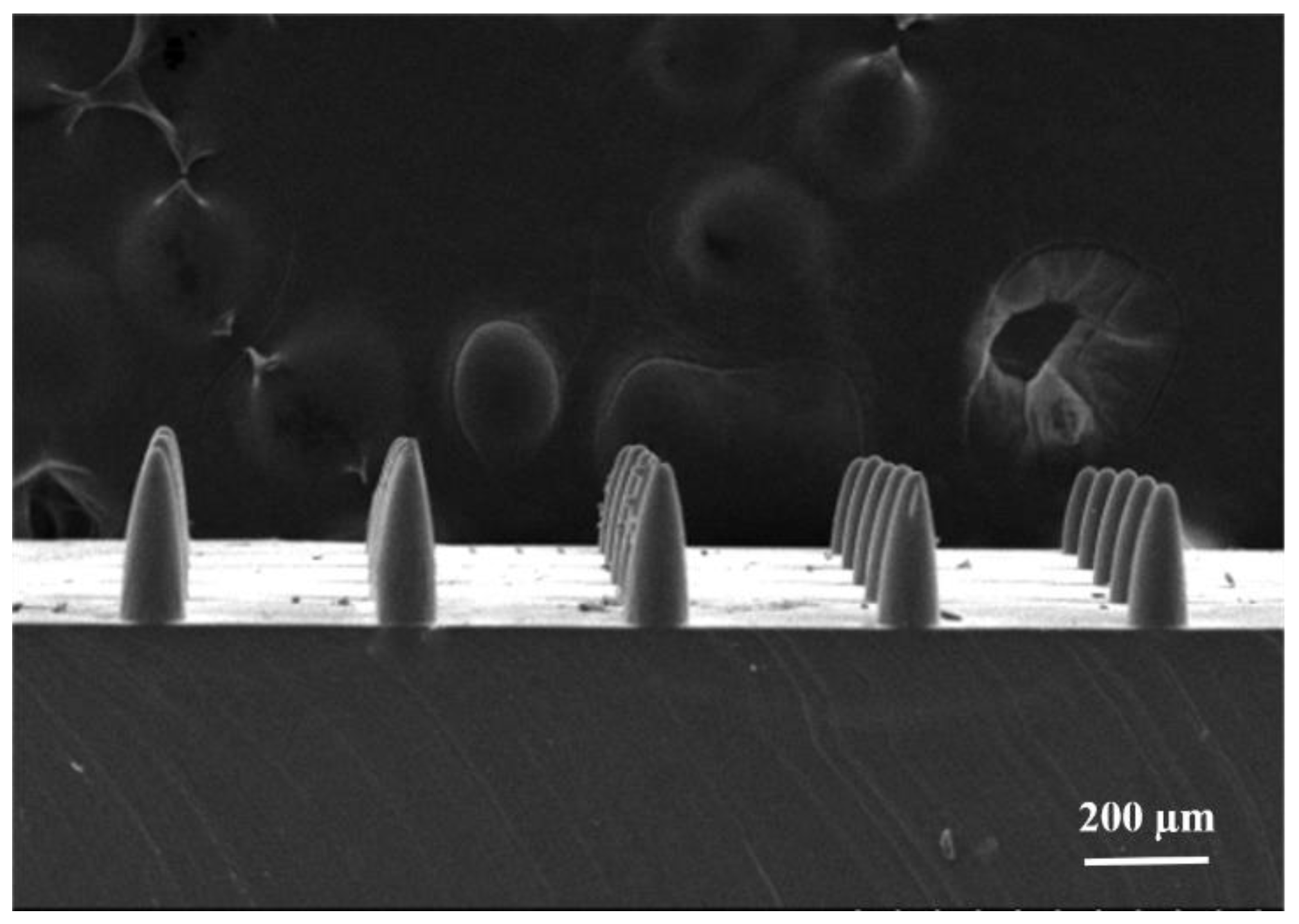 Micromachines 12 00023 g011 Micromachines 12 00023 g011