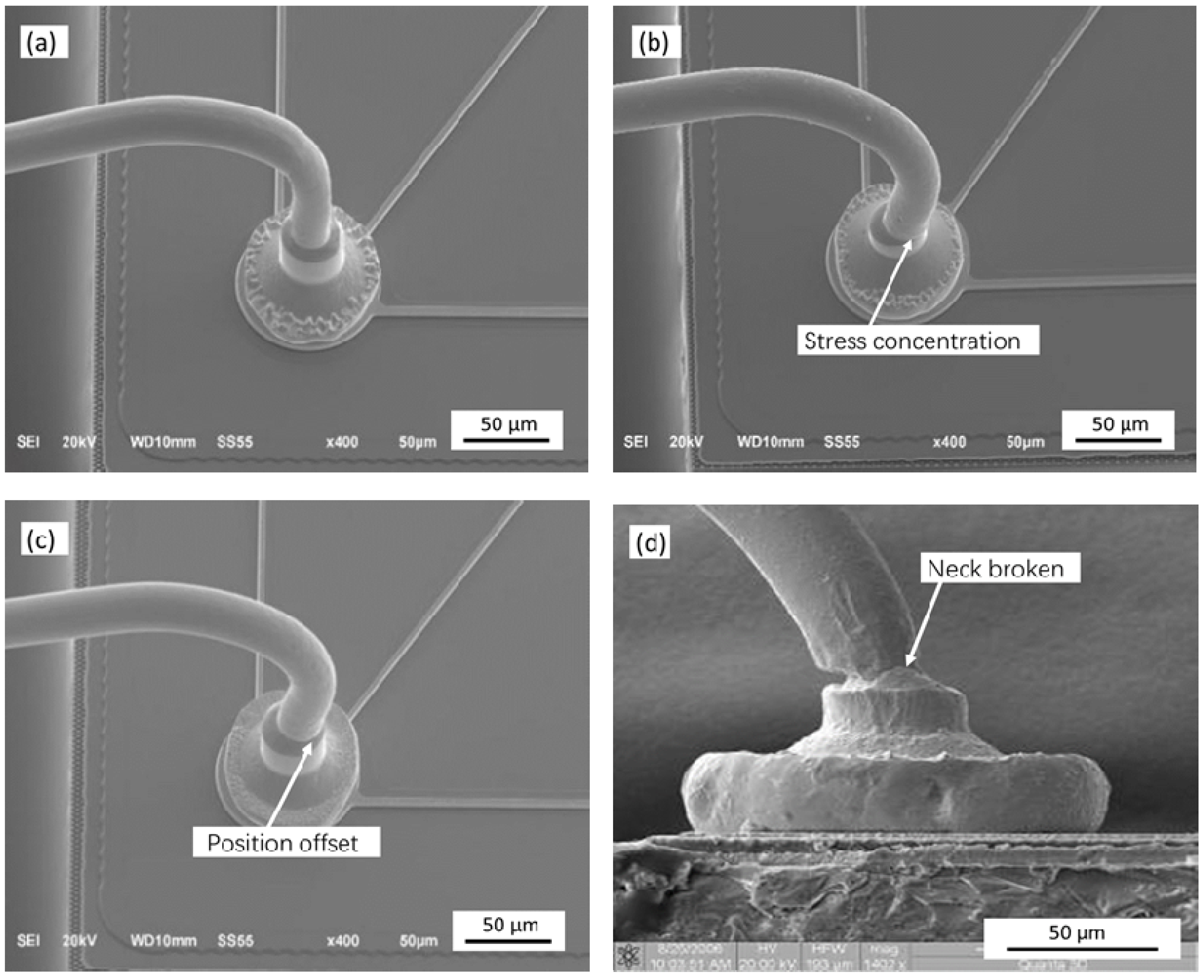 Micromachines 12 00024 g005