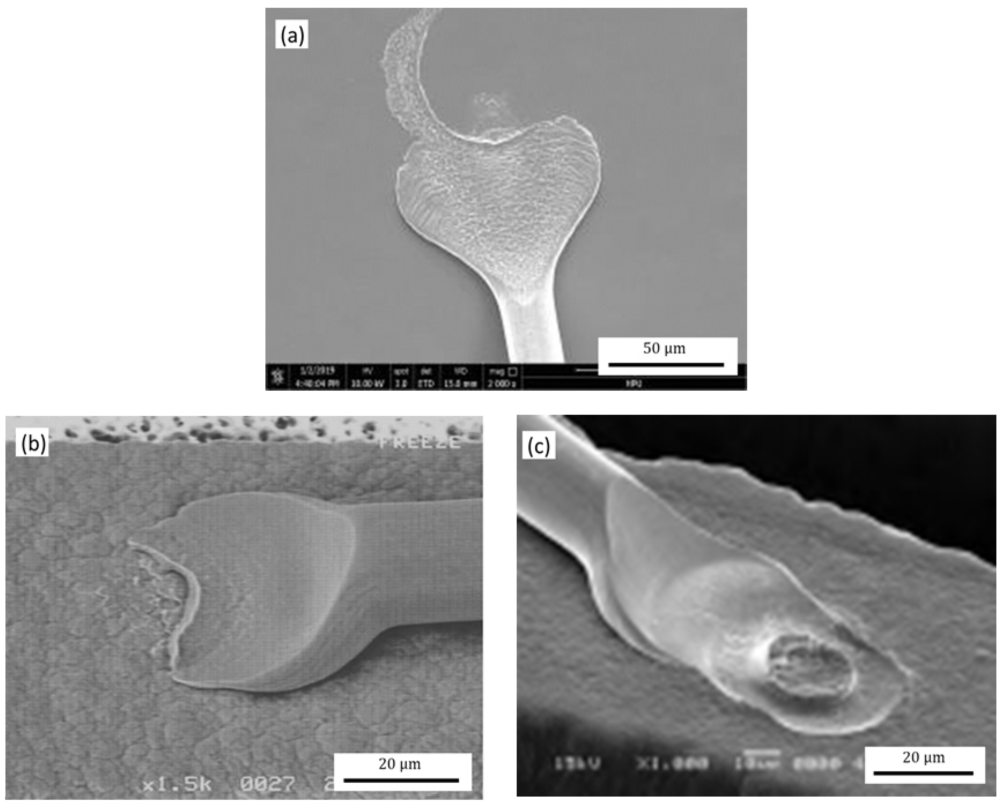 Micromachines 12 00024 g012
