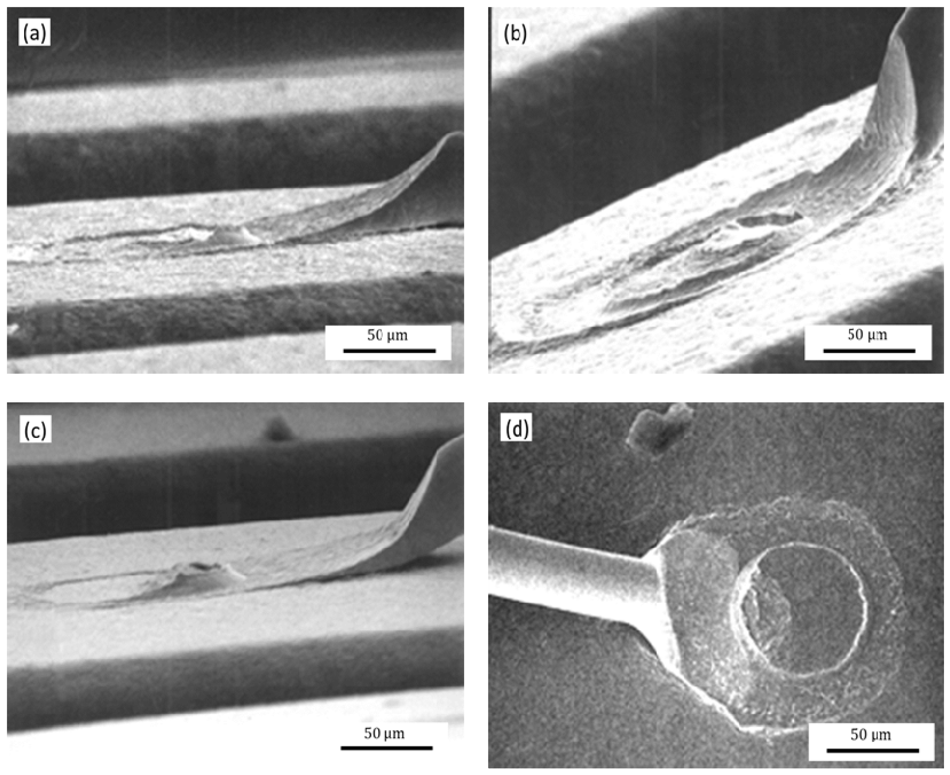 Micromachines 12 00024 g016