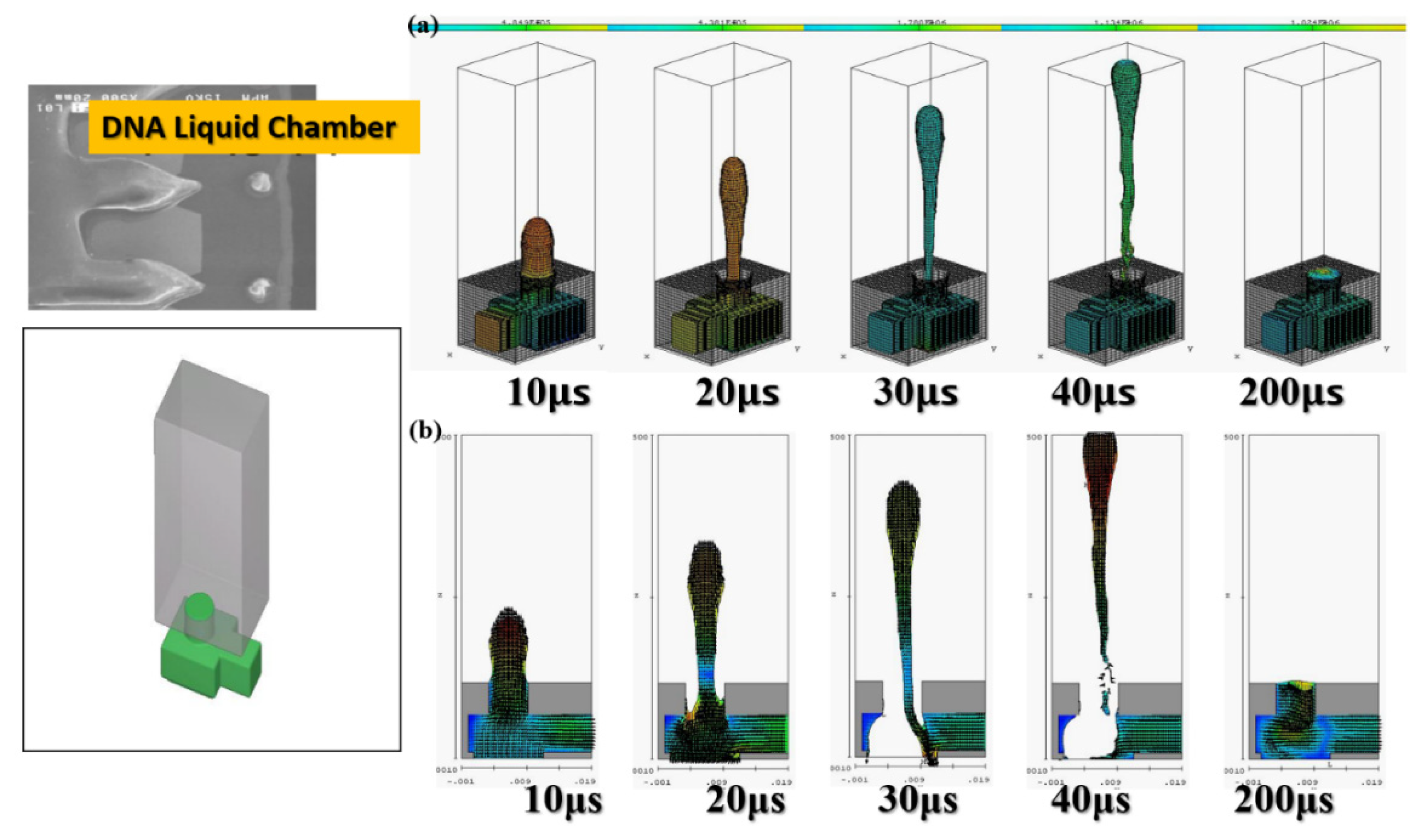 Micromachines 12 00025 g003