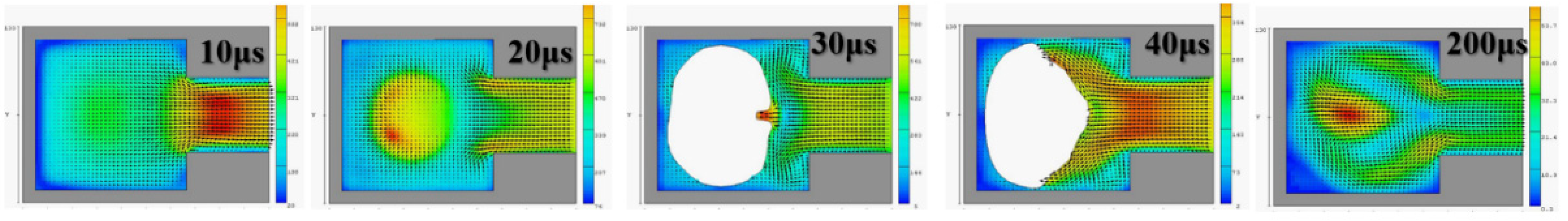 Micromachines 12 00025 g004