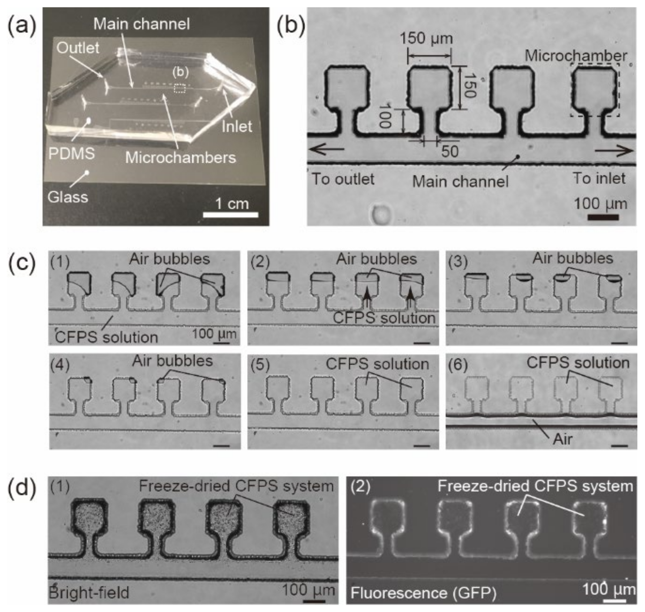 Micromachines 12 00027 g001 Micromachines 12 00027 g001