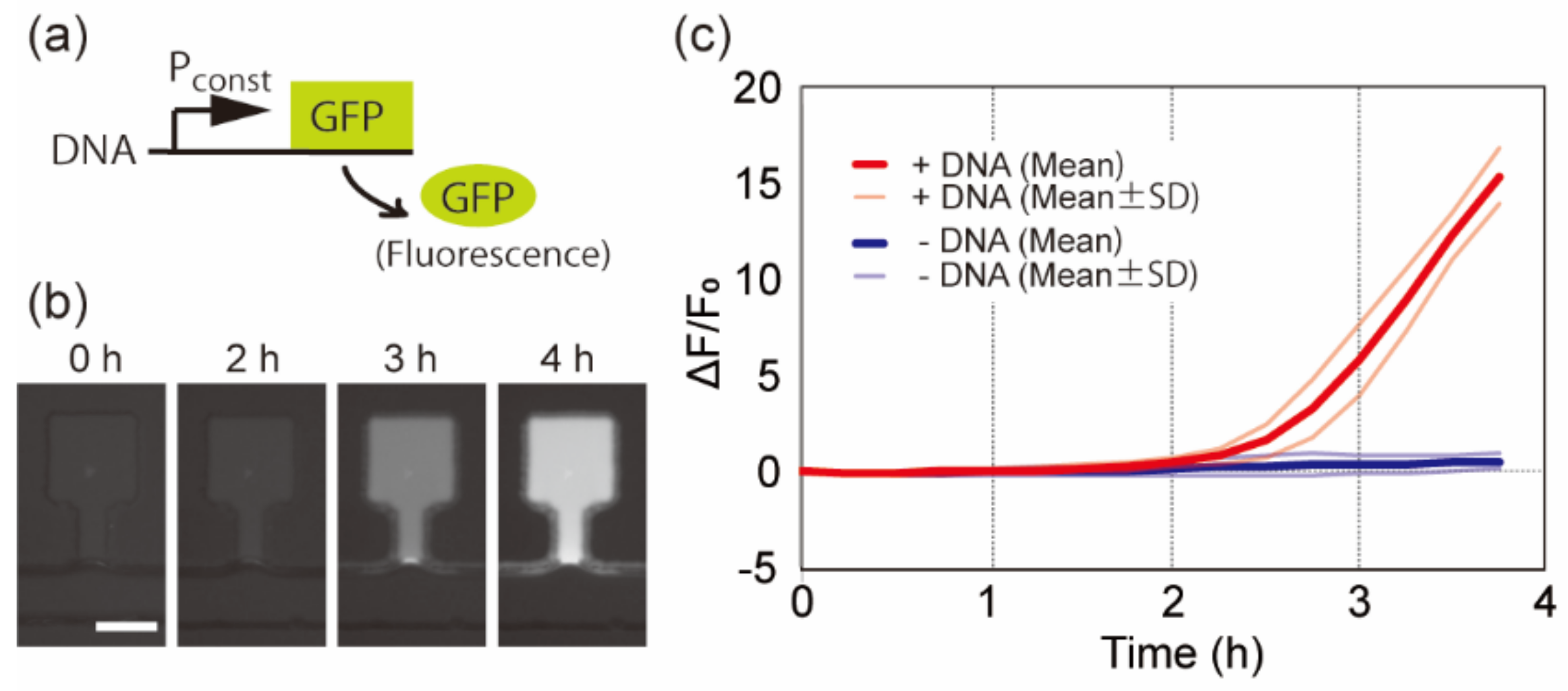 Micromachines 12 00027 g003 Micromachines 12 00027 g003
