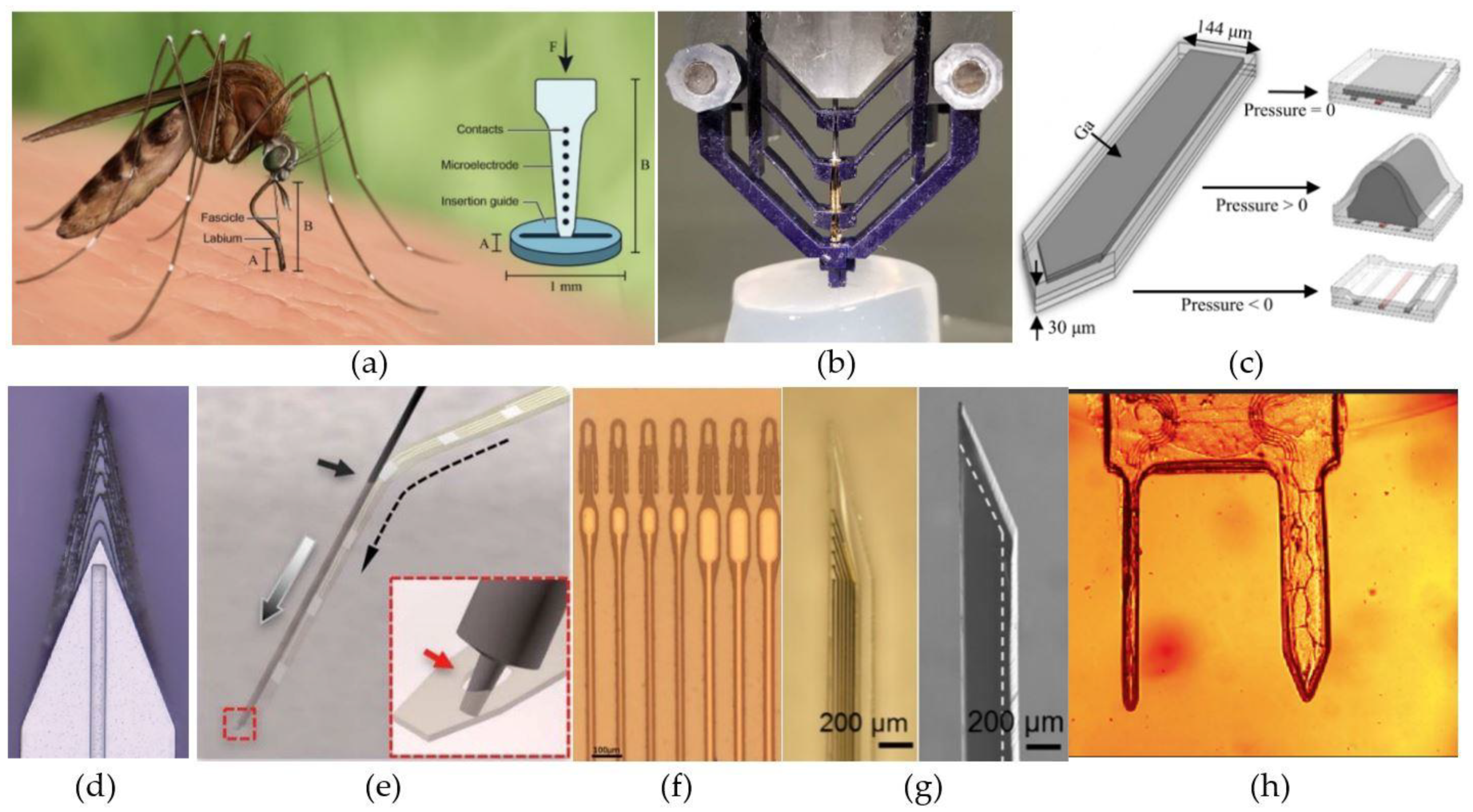 Micromachines 12 00038 g006 Micromachines 12 00038 g006