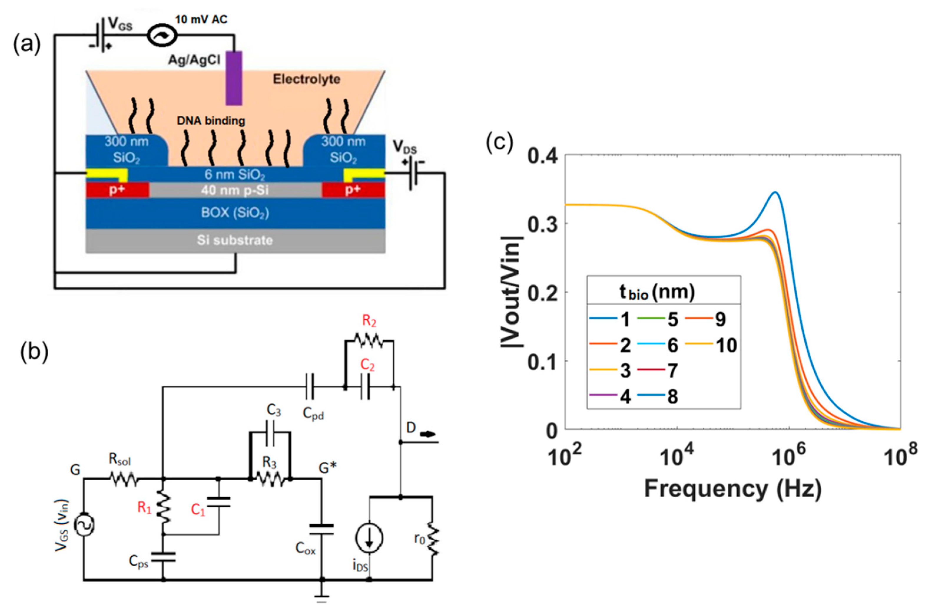 Micromachines 12 00039 g007