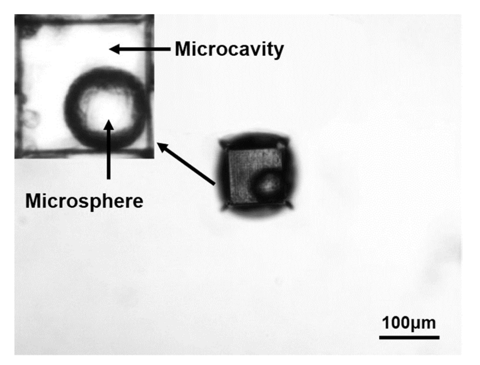 Micromachines 12 00043 g003