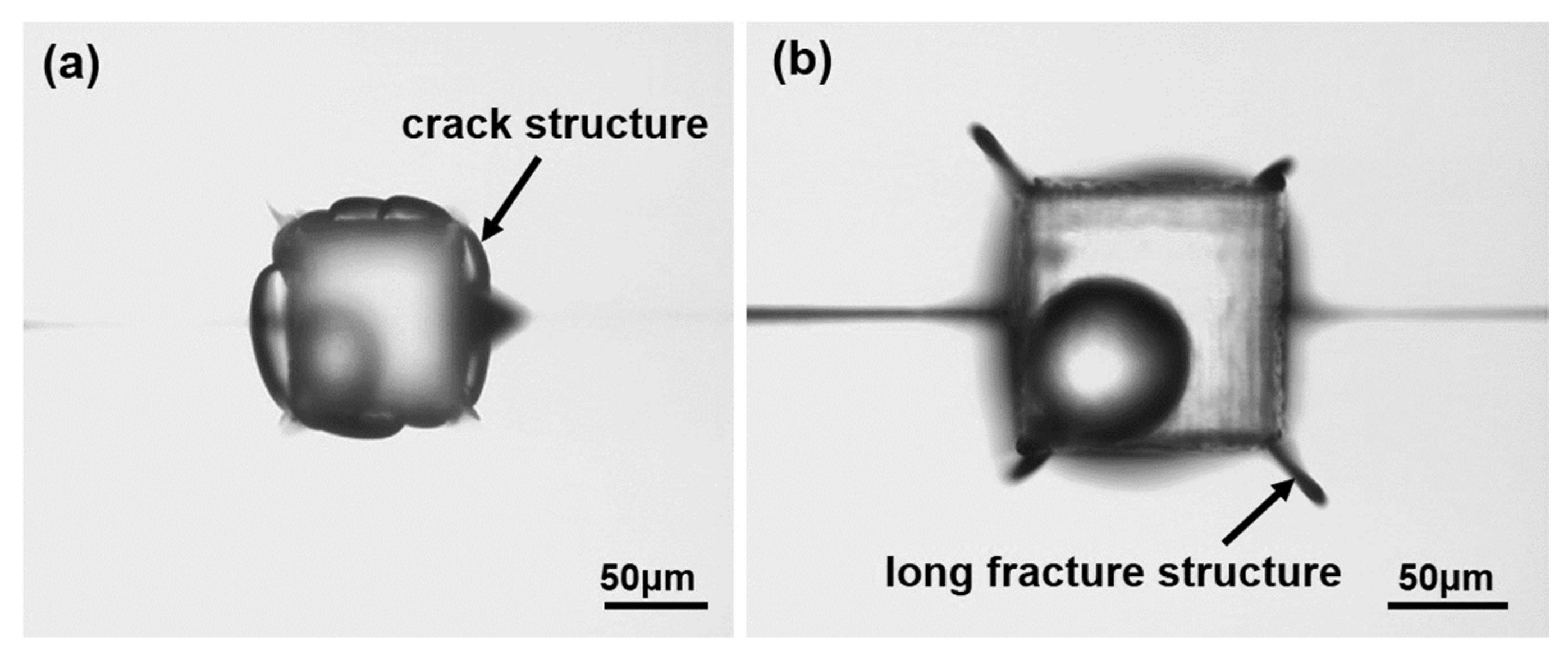 Micromachines 12 00043 g004