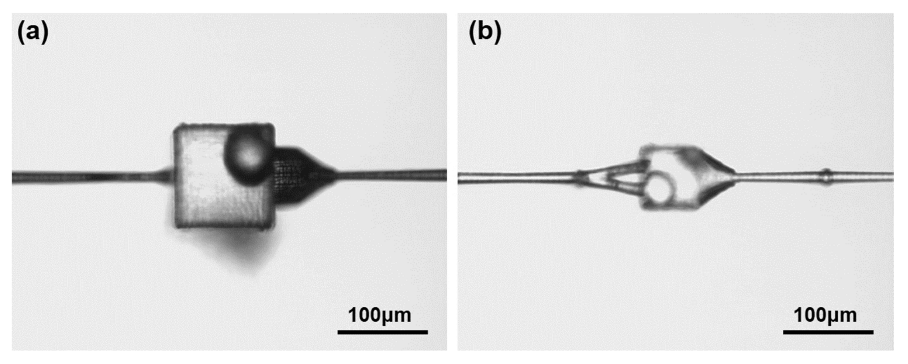 Micromachines 12 00043 g005
