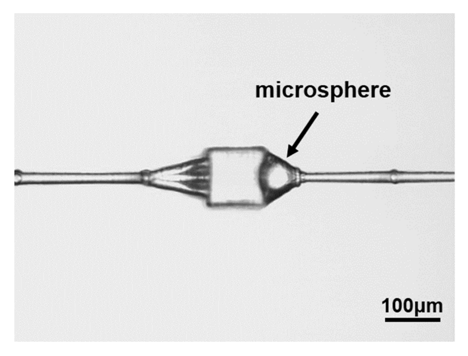 Micromachines 12 00043 g006