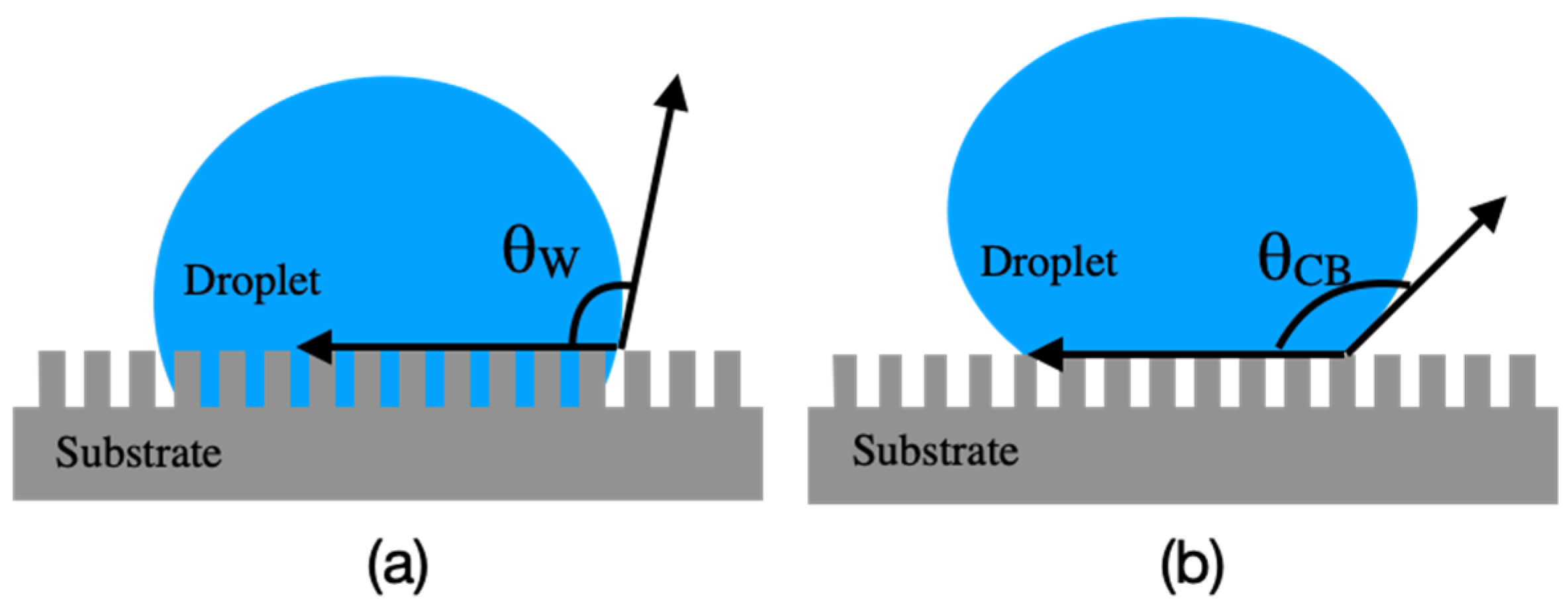 Micromachines 12 00044 g002