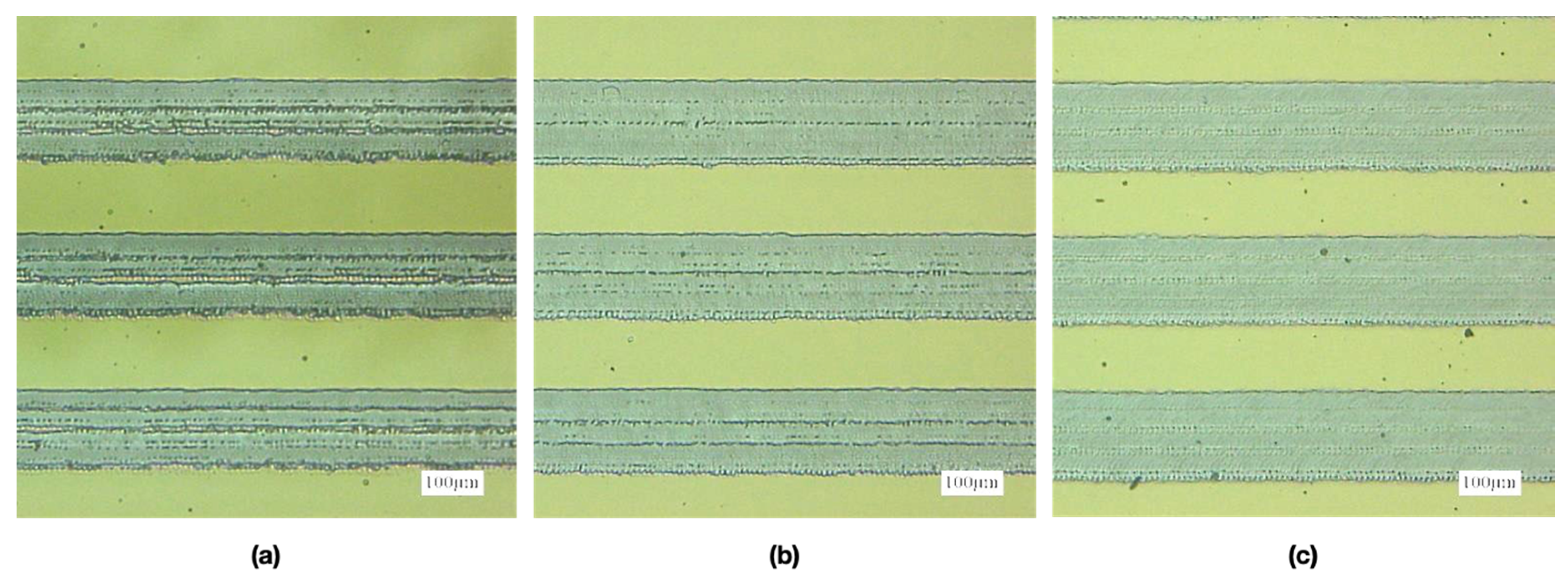 Micromachines 12 00044 g012