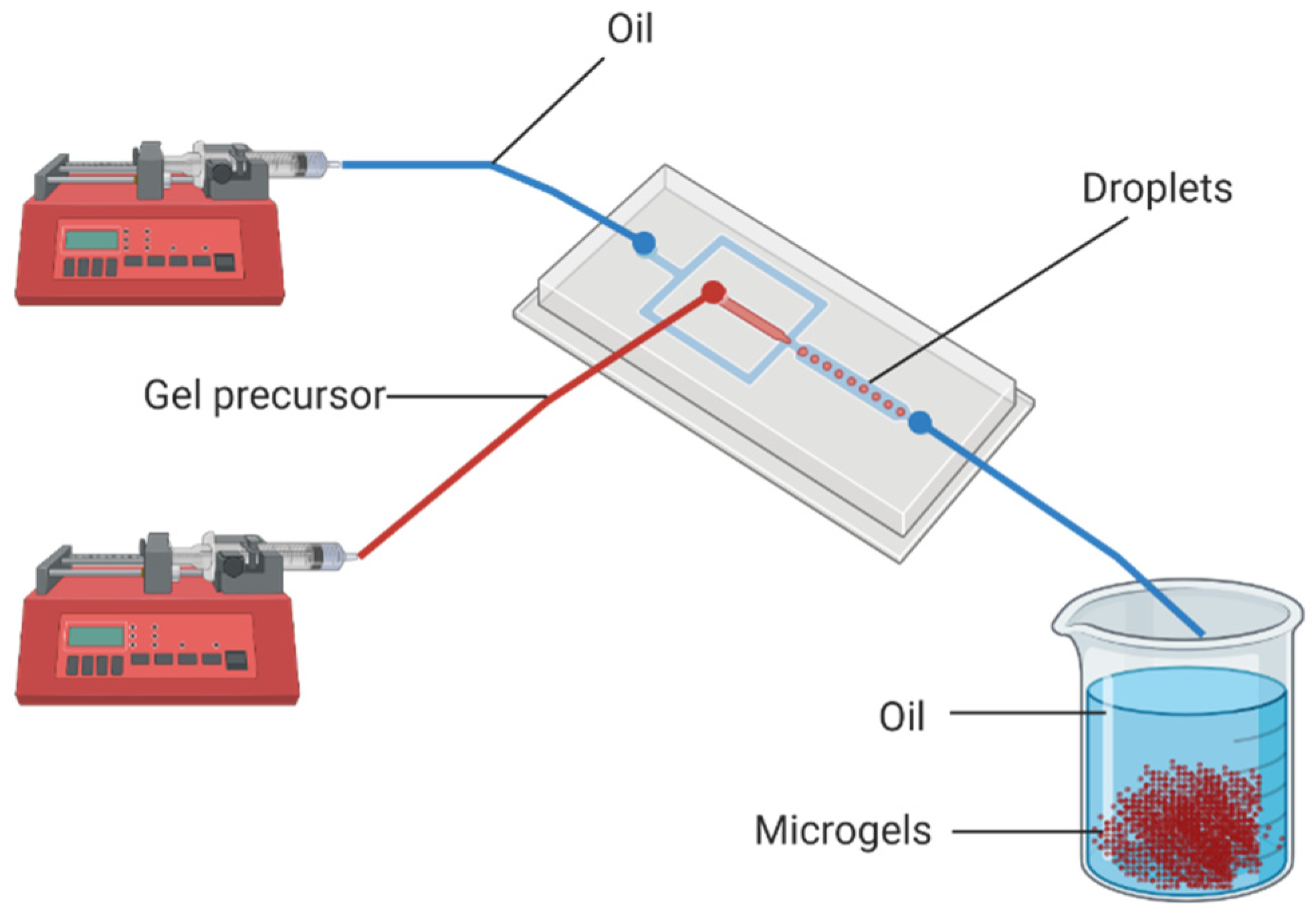 Micromachines 12 00045 g001