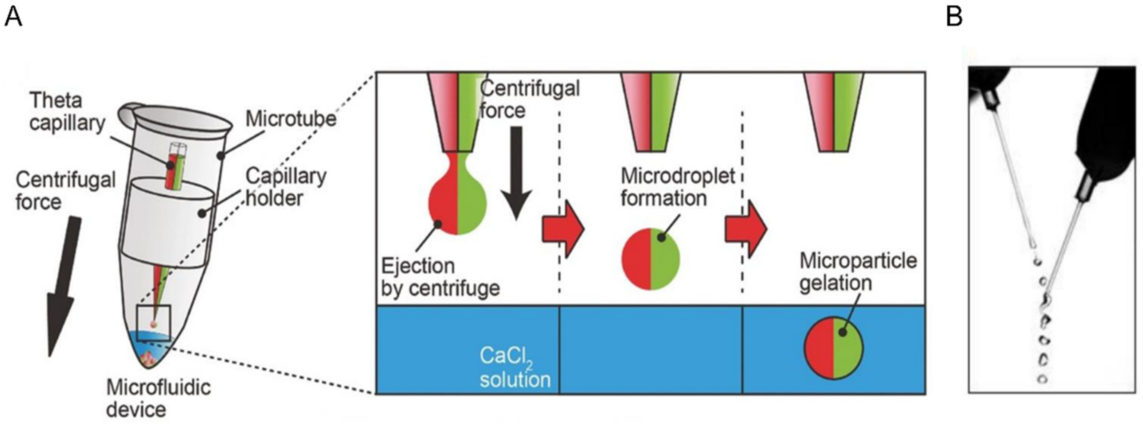 Micromachines 12 00045 g002