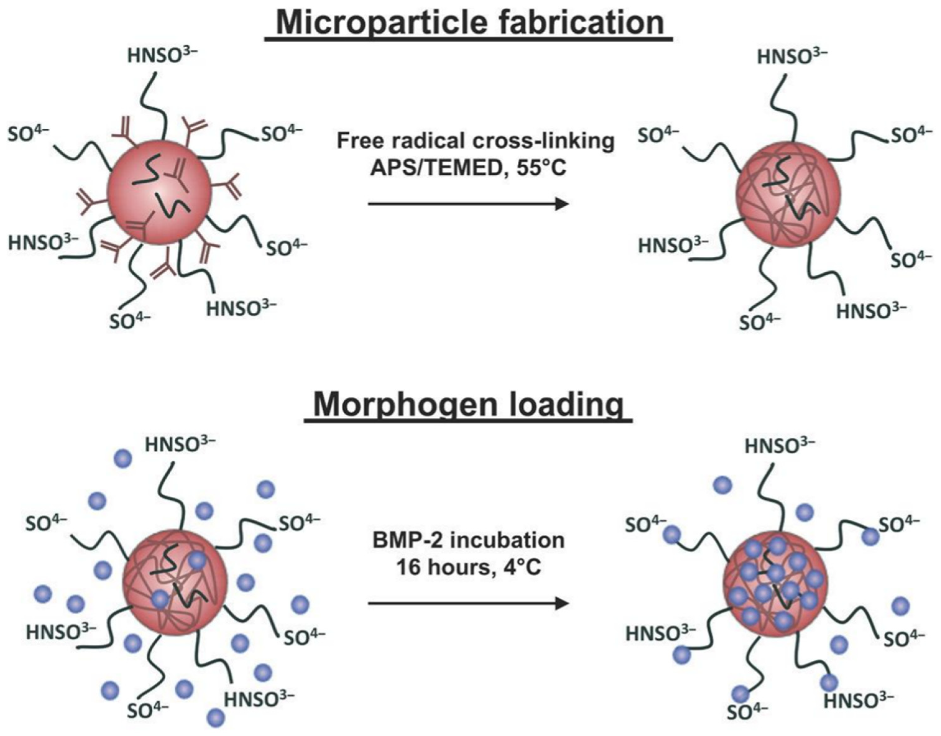 Micromachines 12 00045 g003