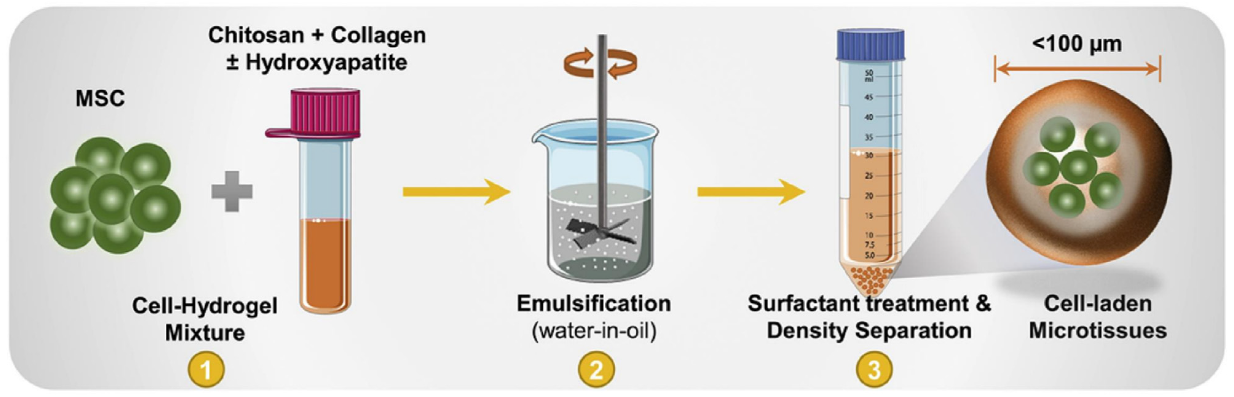Micromachines 12 00045 g004