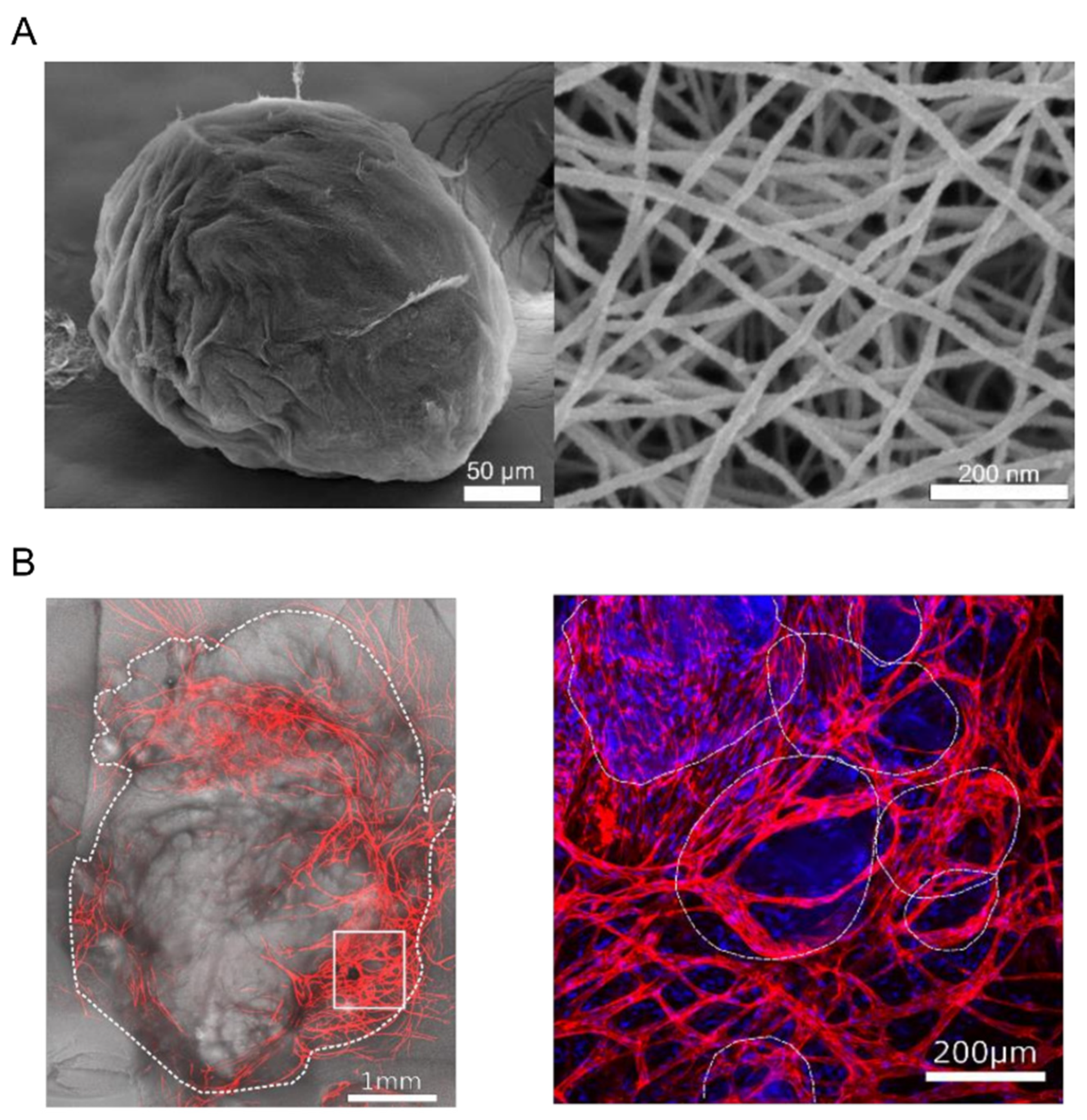 Micromachines 12 00045 g007