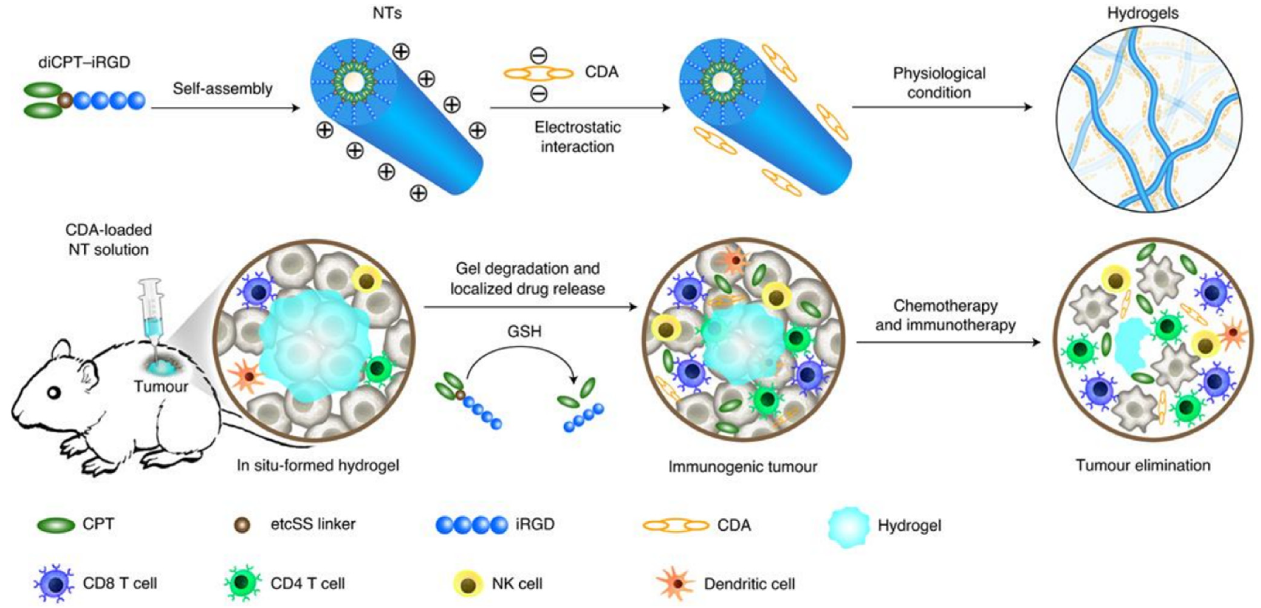 Micromachines 12 00045 g008