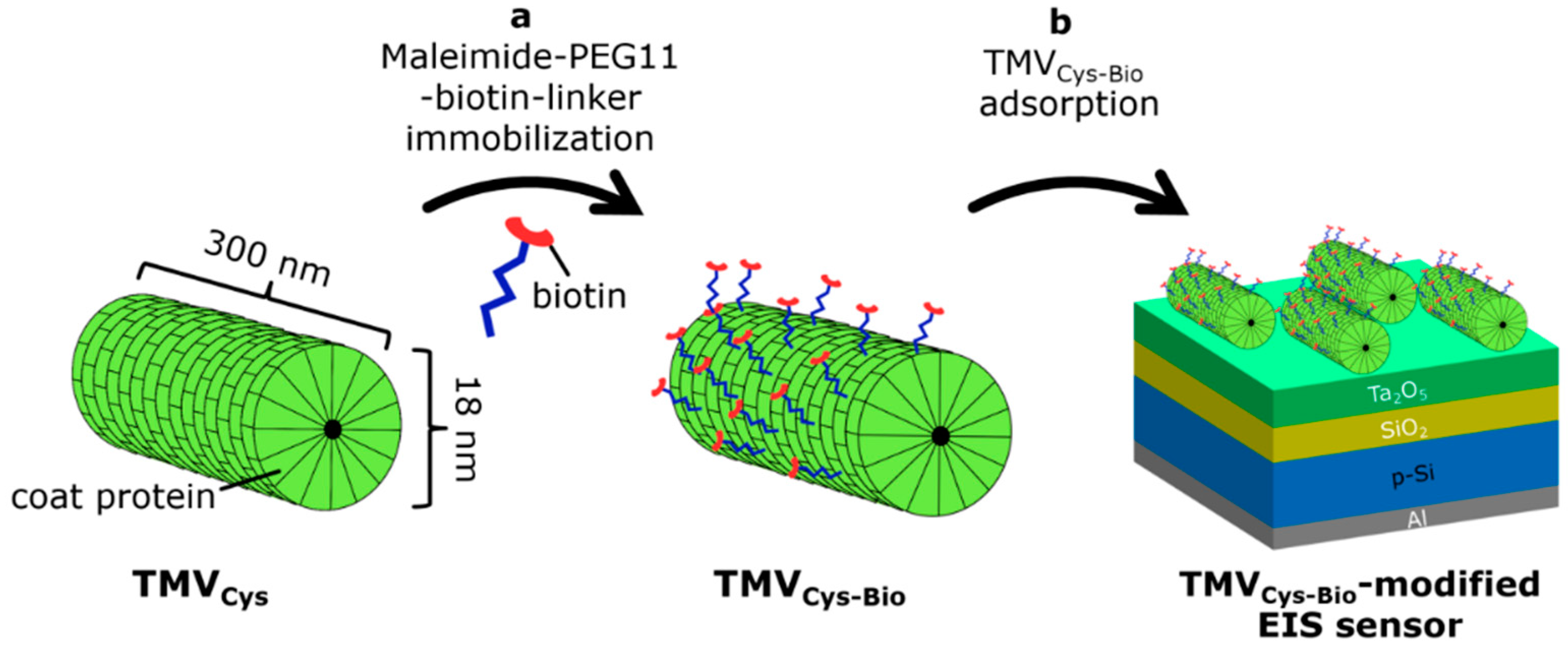Micromachines 12 00057 g002