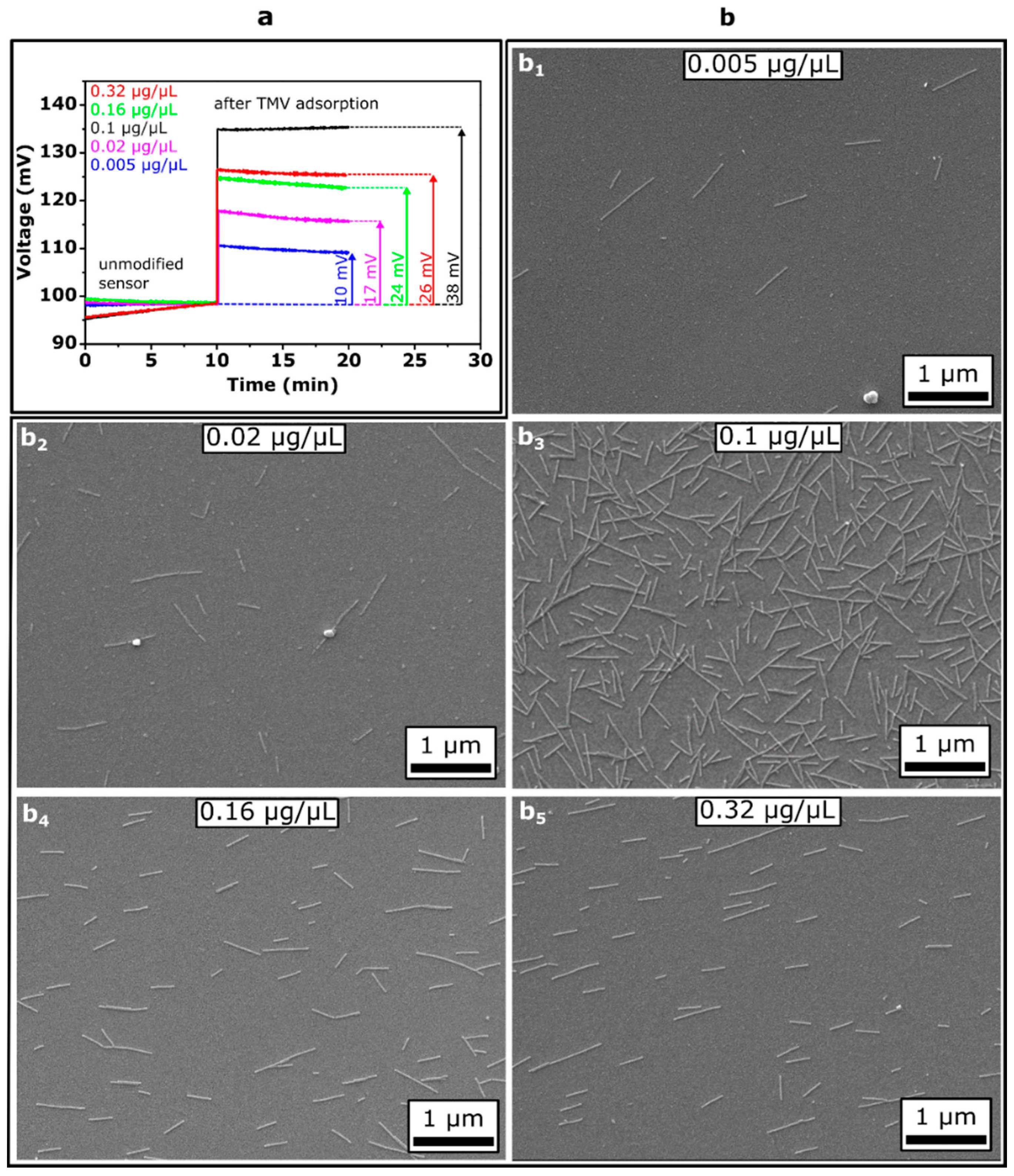 Micromachines 12 00057 g004