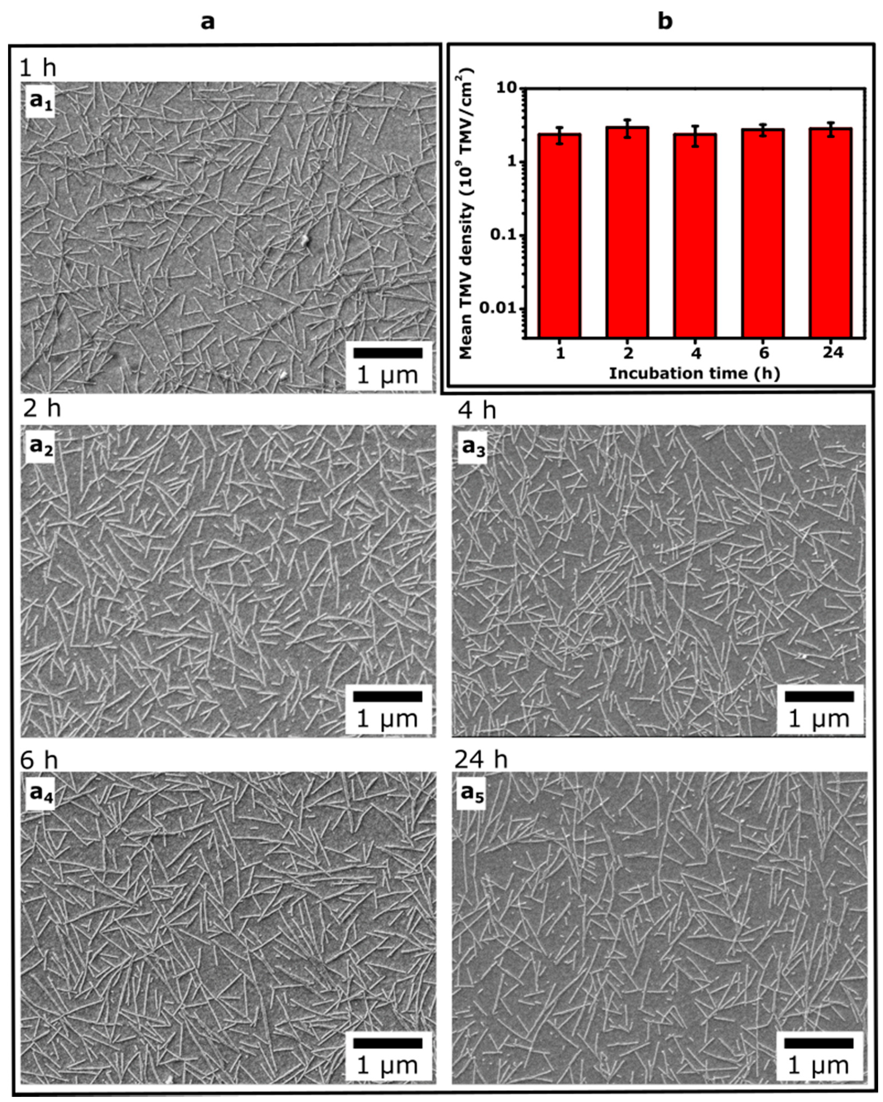 Micromachines 12 00057 g006
