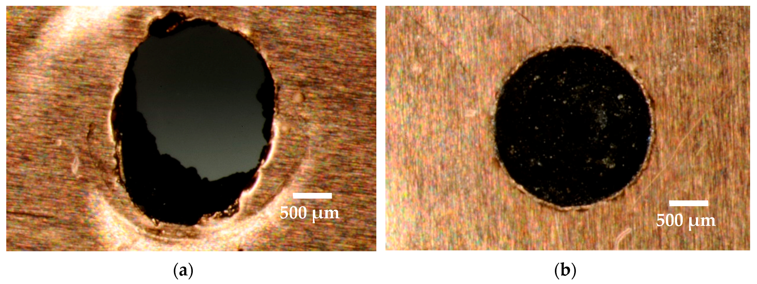 Micromachines 12 00067 g002