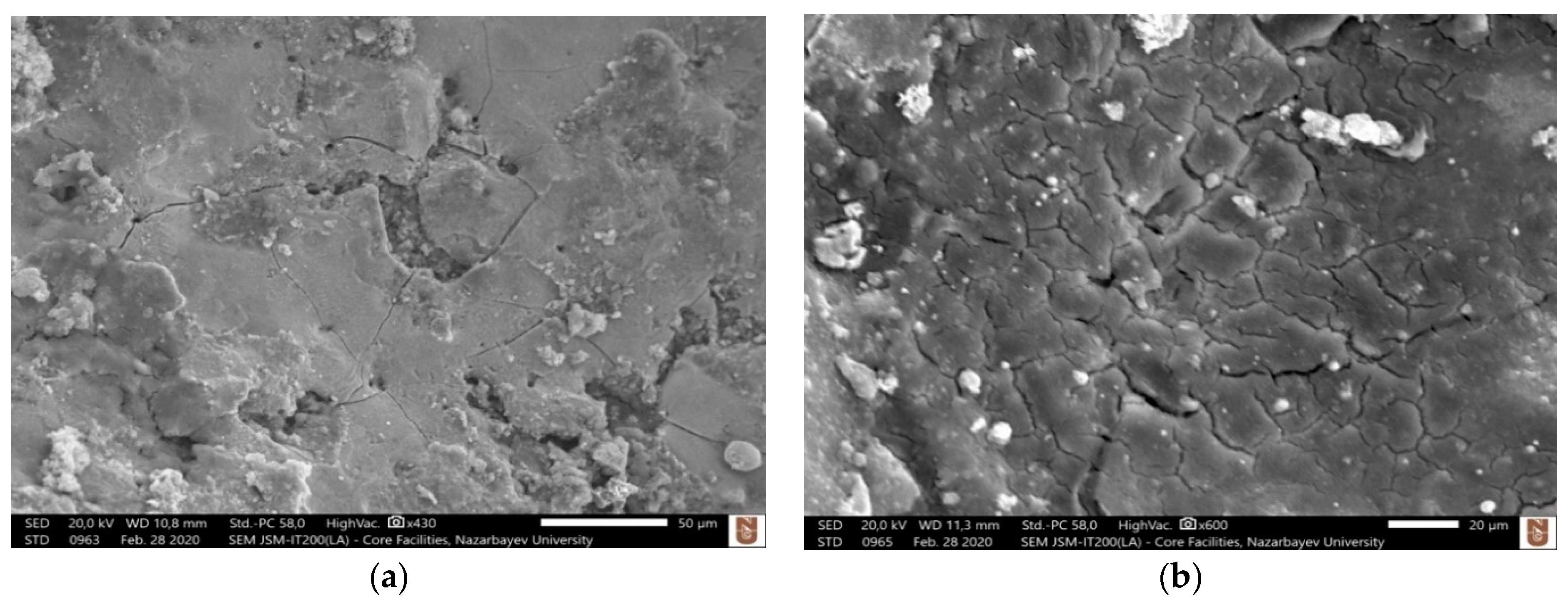 Micromachines 12 00067 g004a