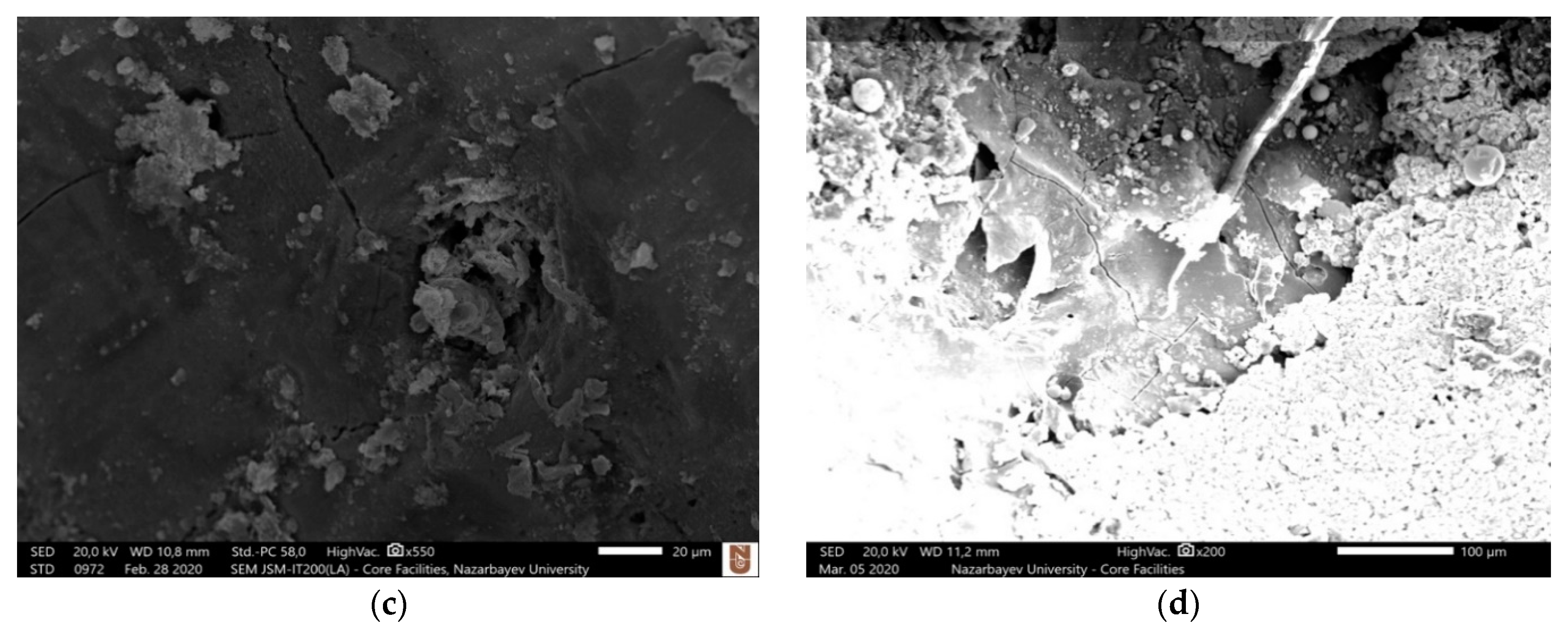 Micromachines 12 00067 g004b