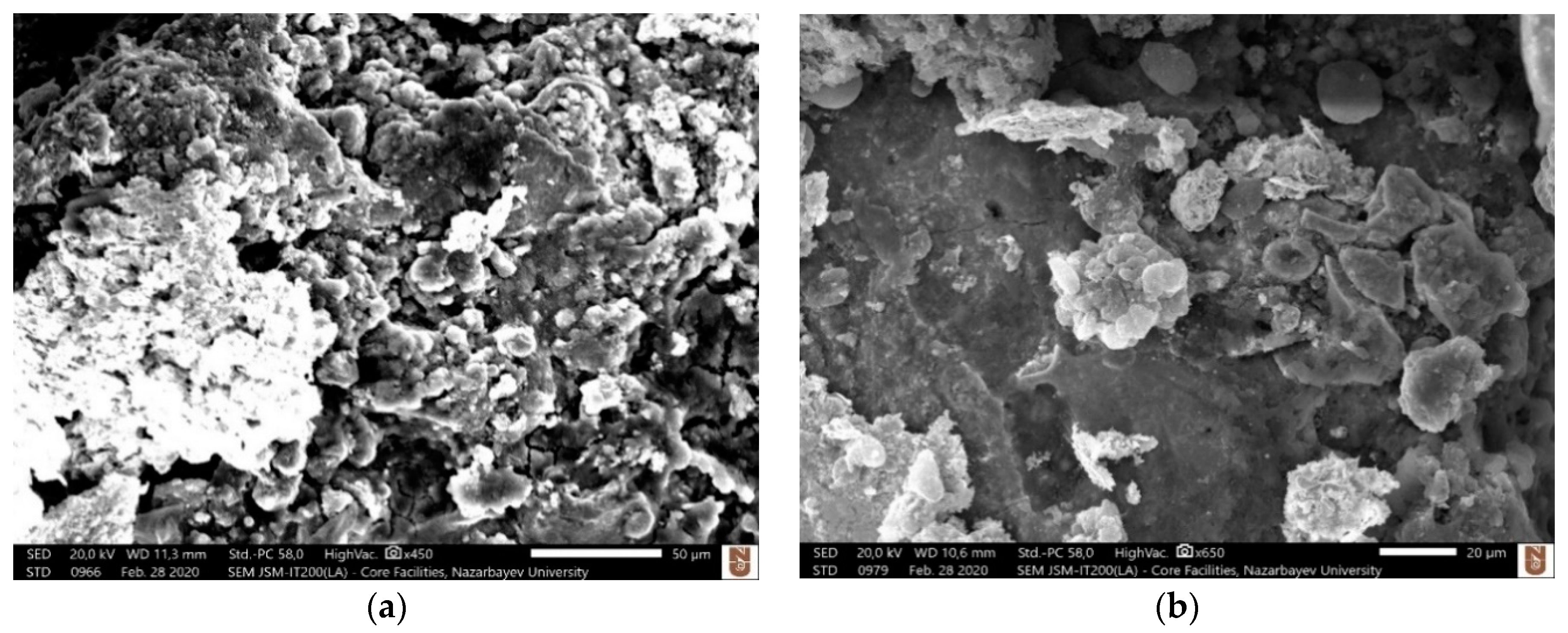 Micromachines 12 00067 g005a
