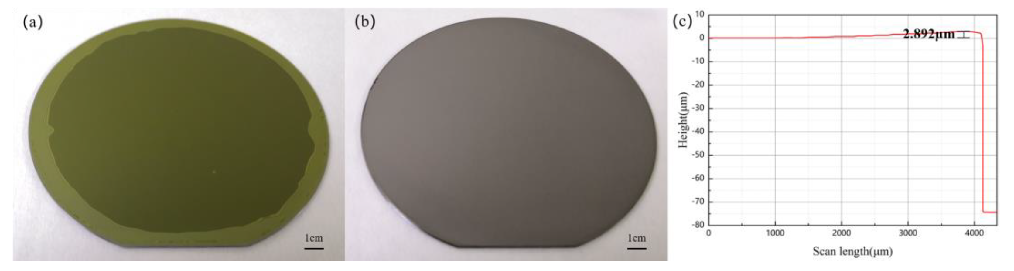 Micromachines 12 00070 g004