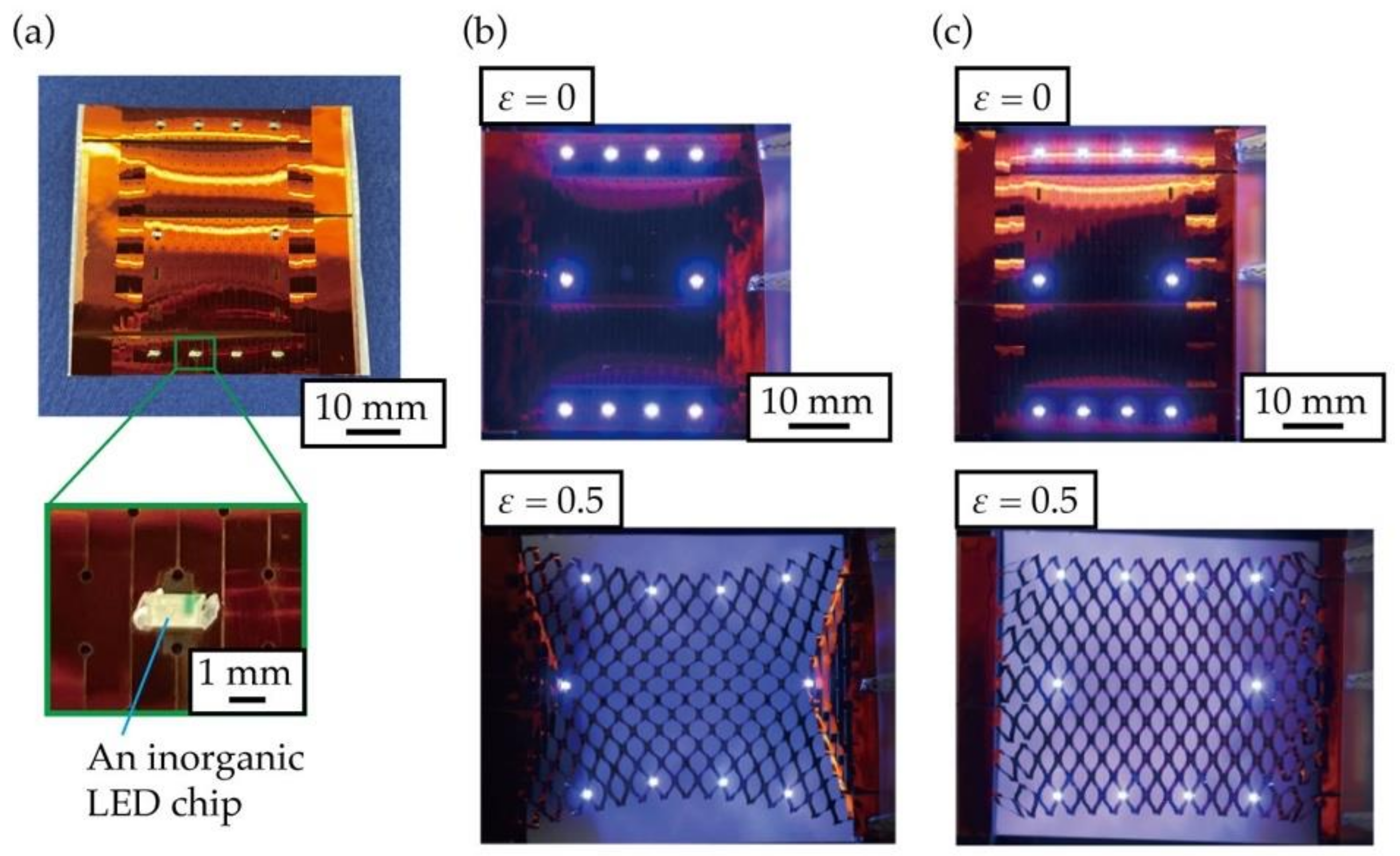 Micromachines 12 00076 g010